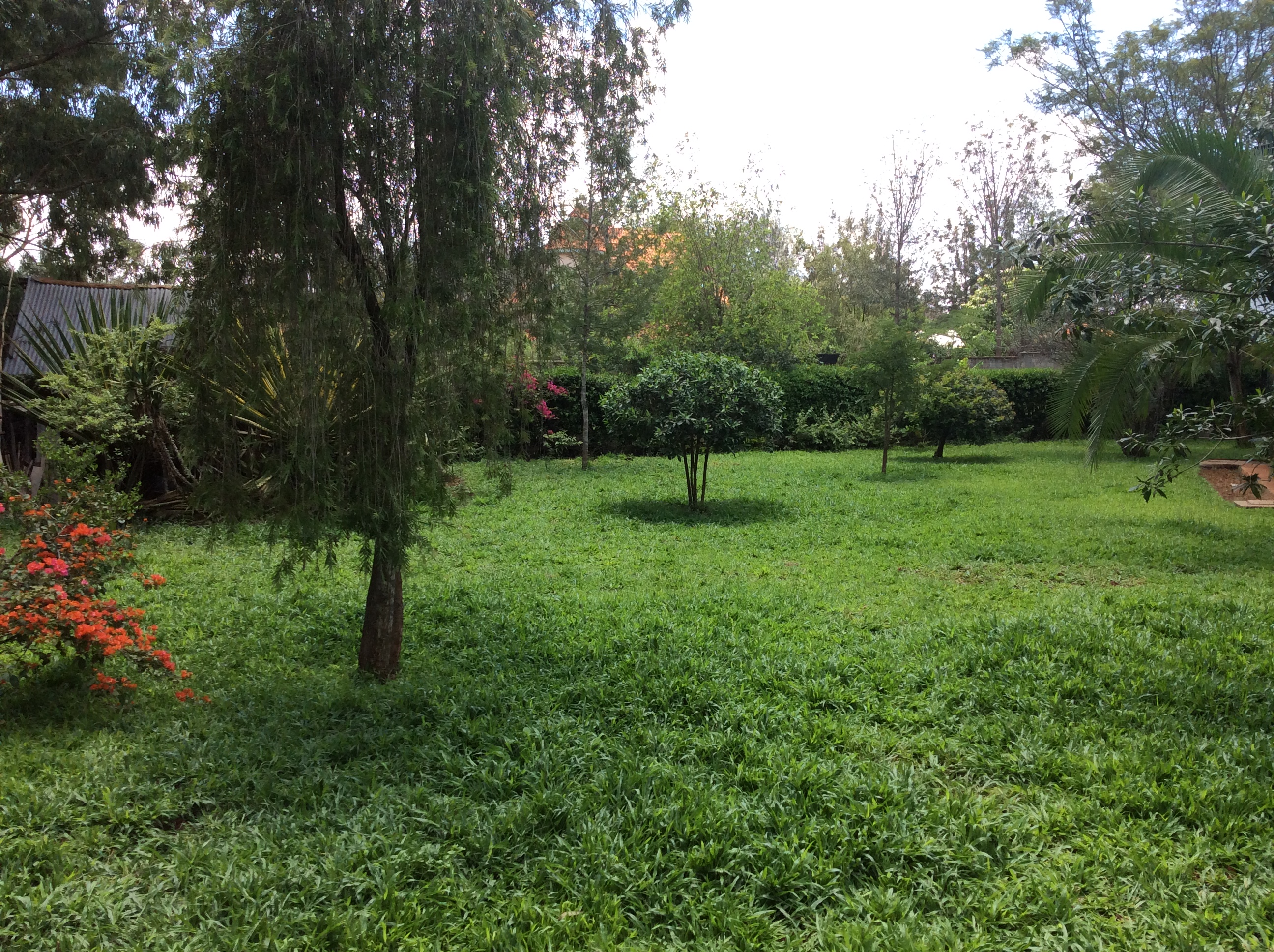 Acacia Rustic Cottage β real-estate in Langata, Nairobi