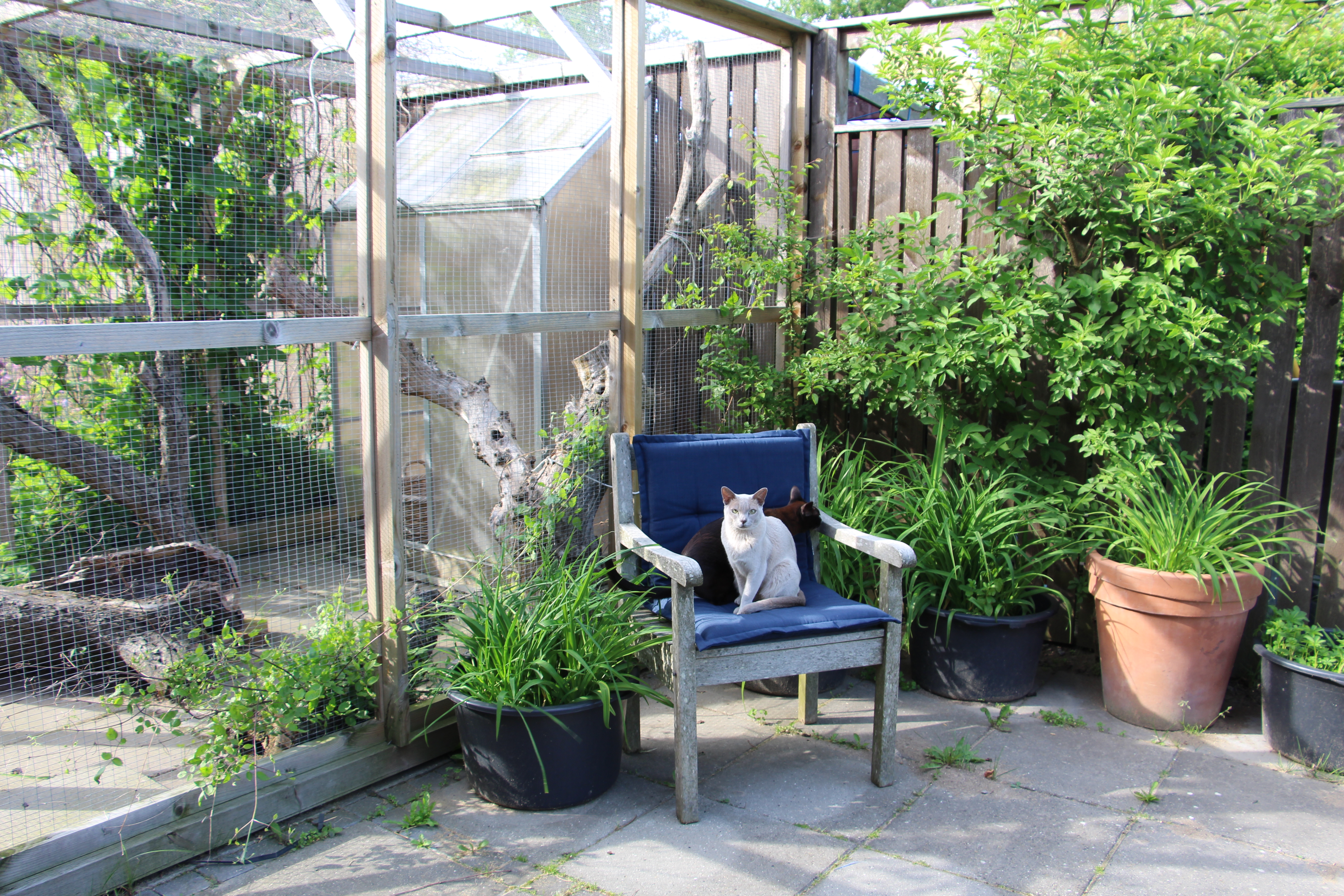 Get Sea shore udsmykning For Android