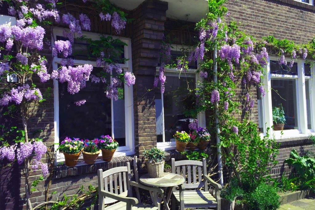 Cozy house 10 min. from the centre of Rotterdam — Rotterdam stay