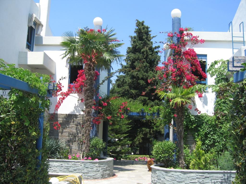 Modern residence-Chanioti-Halkidiki