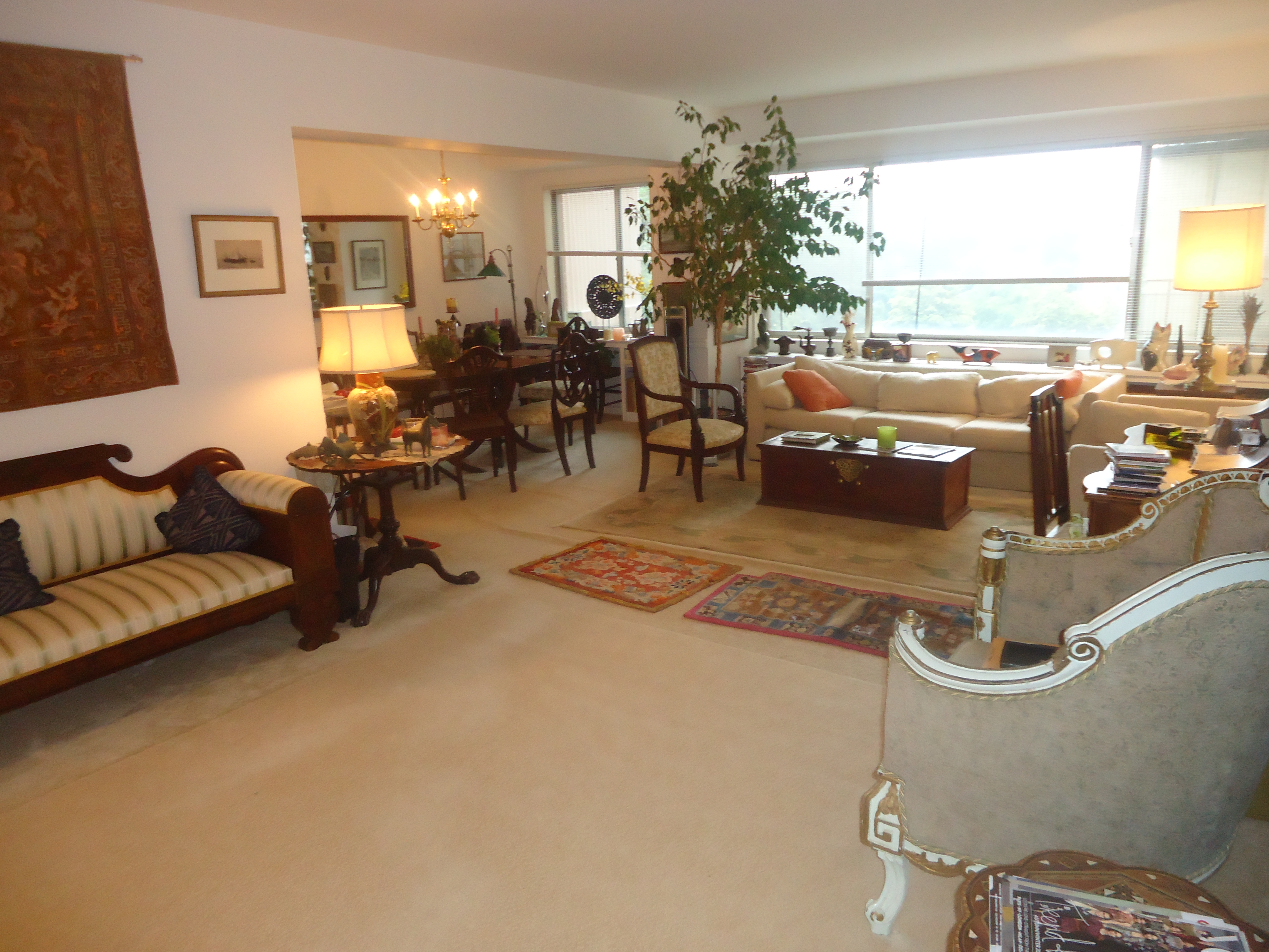 Part City Part Country Homestay! in Cathedral Heights, McLean Gardens, Glover Park, Washington Dc