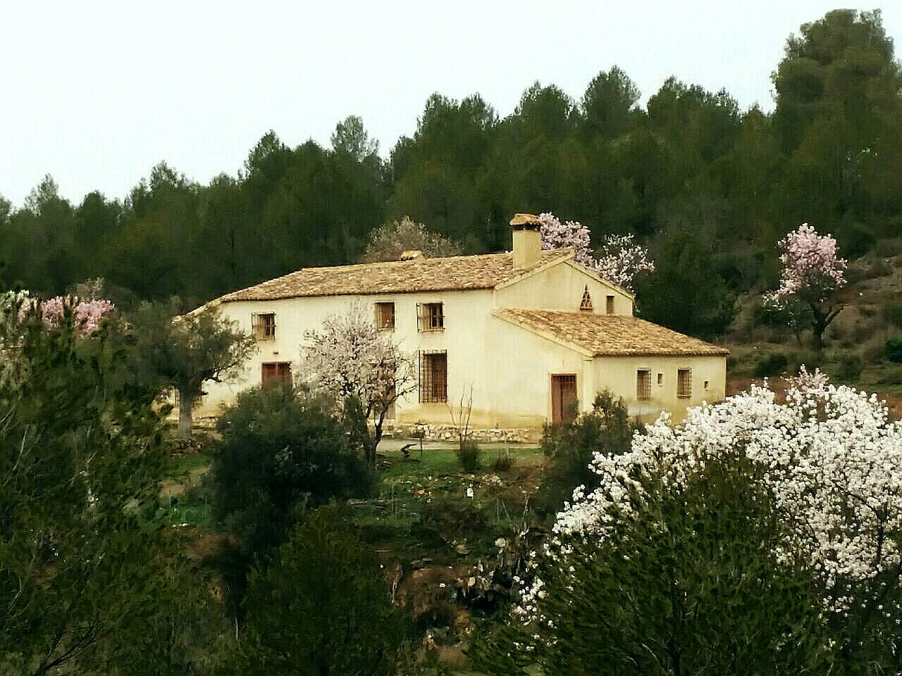 Cortijo La Jarala Houses for Rent in Jarales, Región de Murcia, Spain