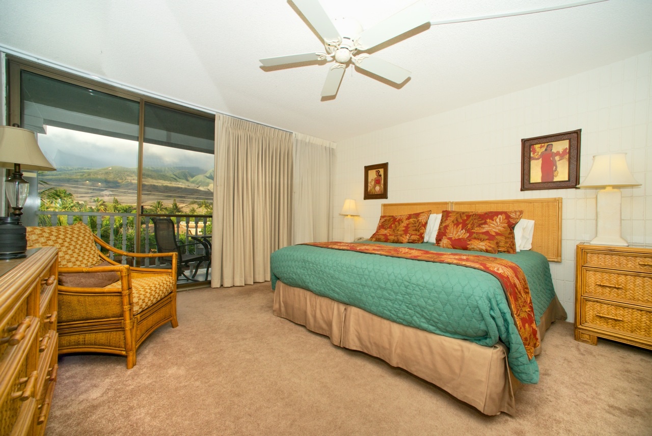 GREAT LOCATION, NO NEED FOR A CAR; WALK TO TOWN Apartments for Rent