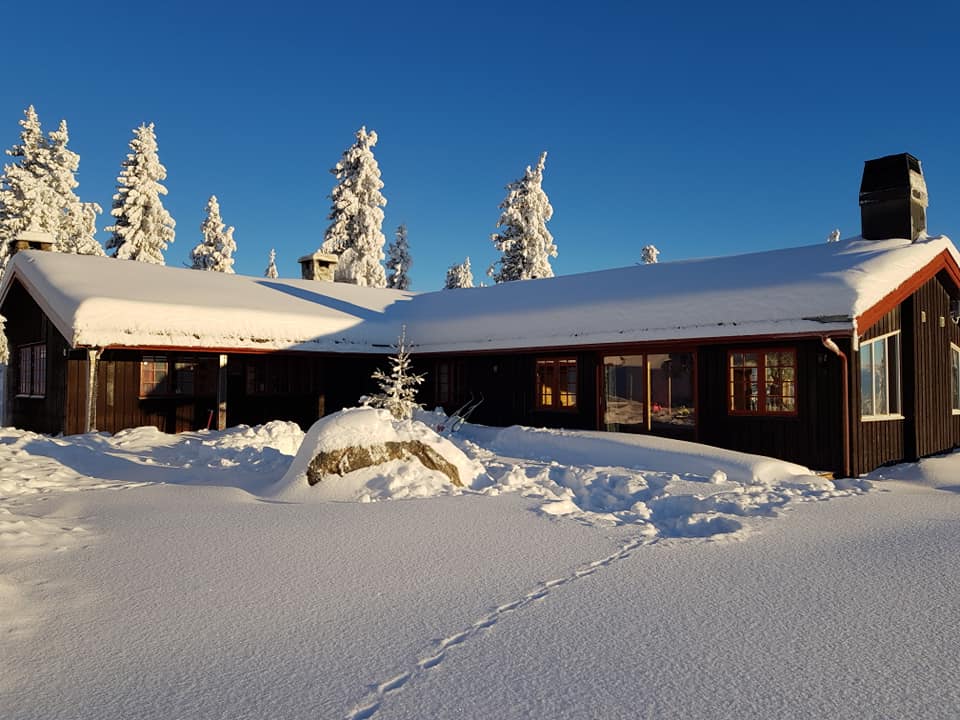 Cosy Cottage close to everything