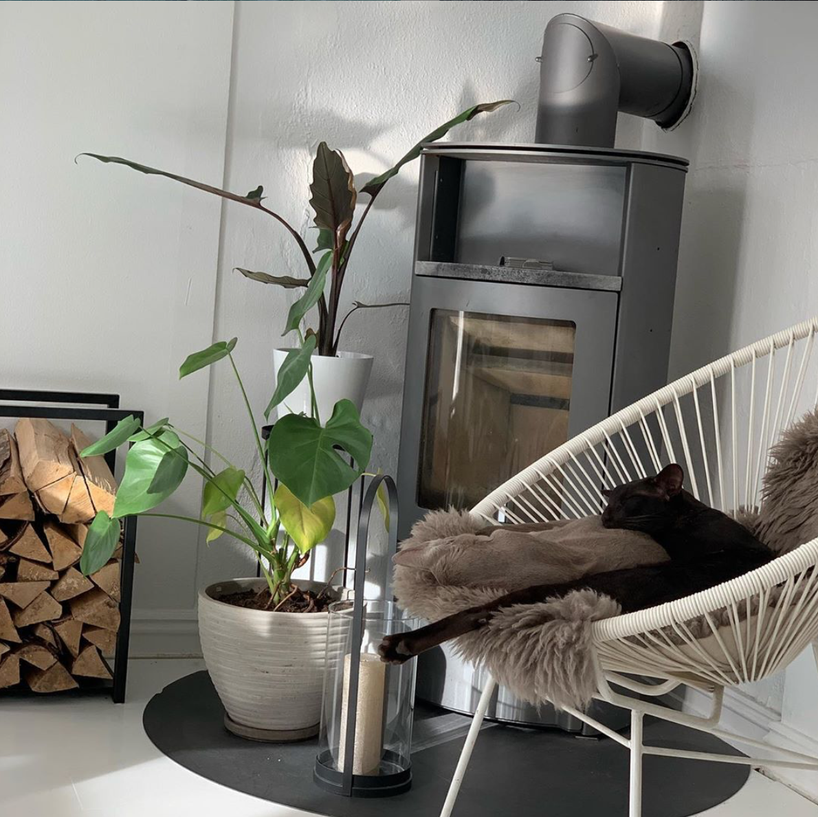 Nice room in modern apt. in Gamle Oslo, Oslo