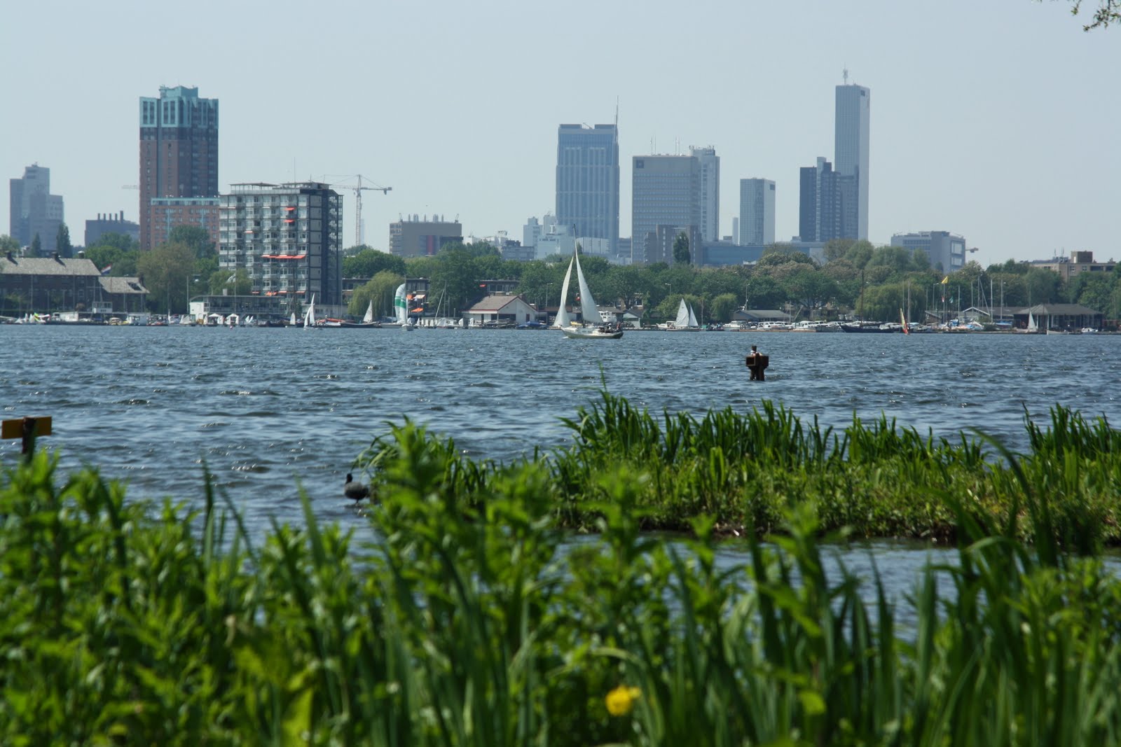 Central Park - Entire Apartment — Rotterdam stay
