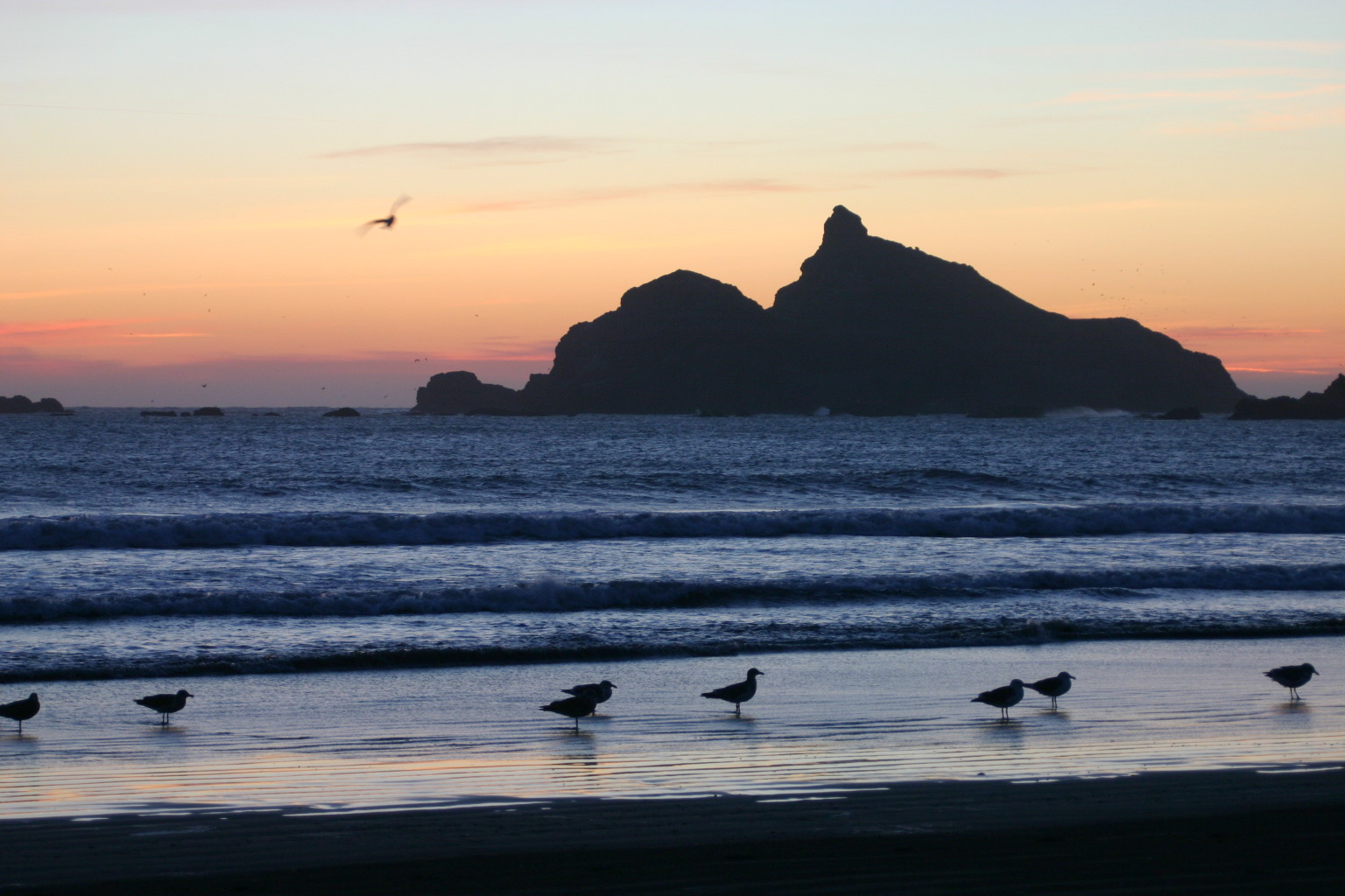 Pebble Beach View Vacation Home Houses for Rent in Crescent City