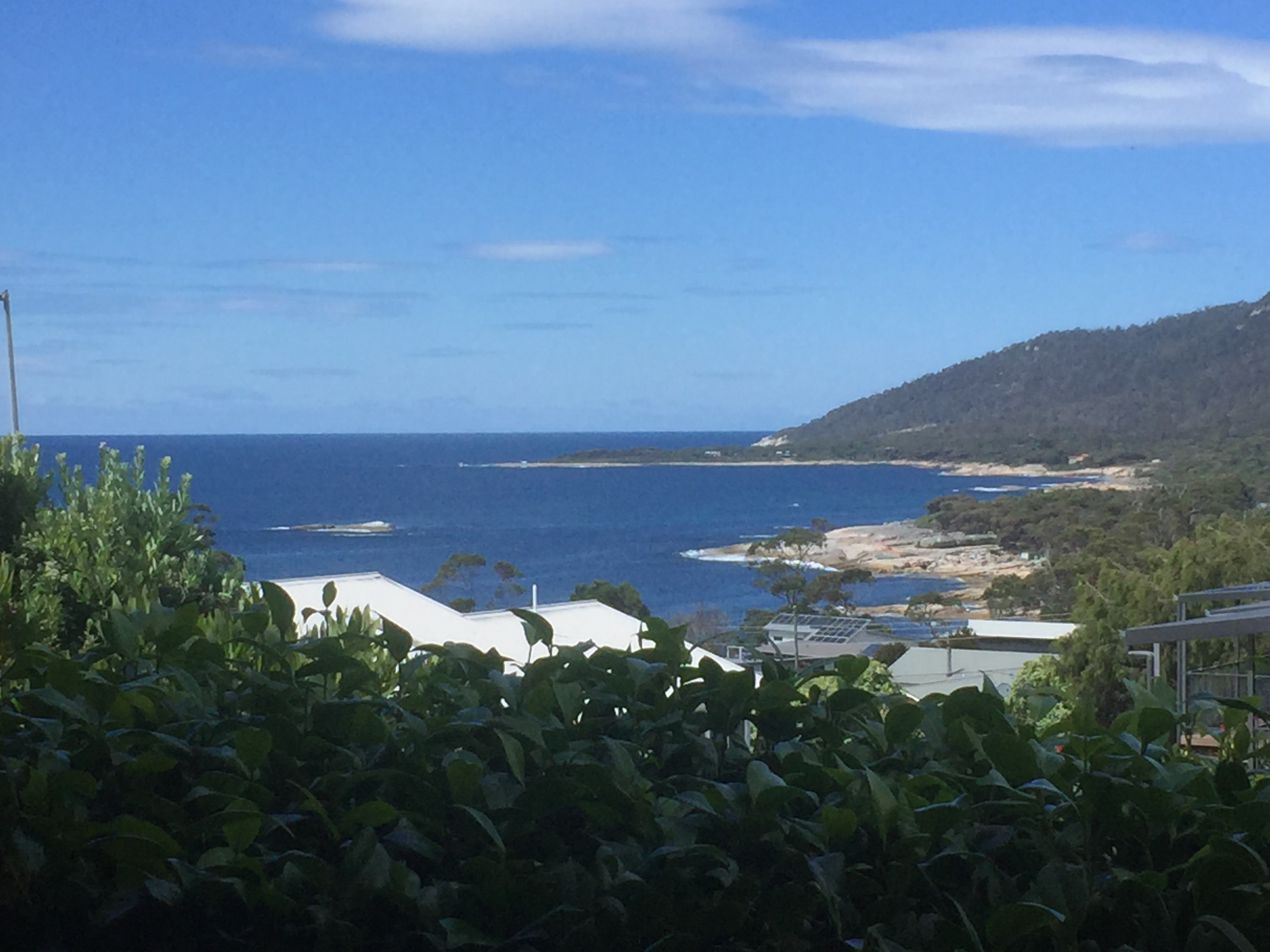 Bicheno Bell (views for miles)