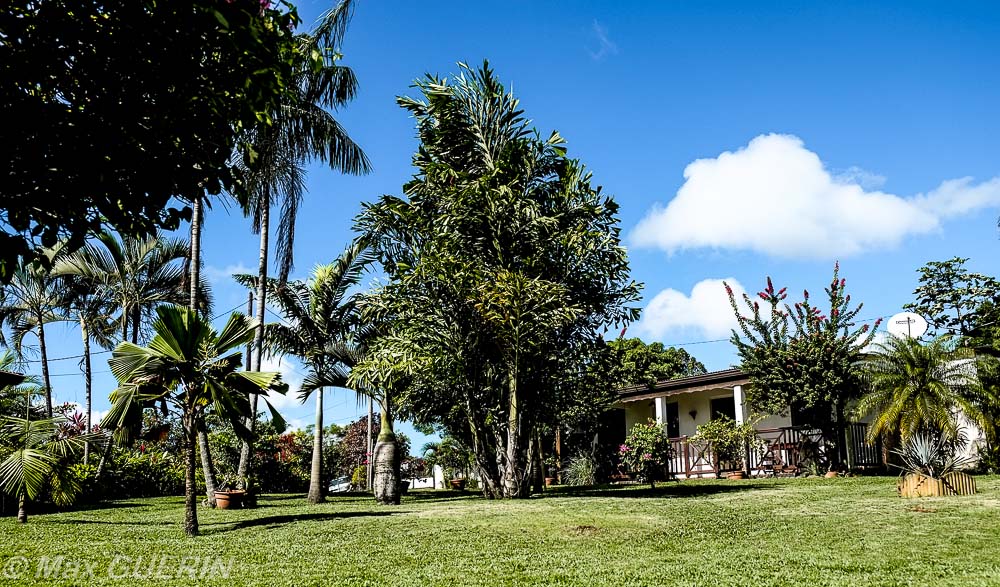 Le bungalow des Bougainvilliers