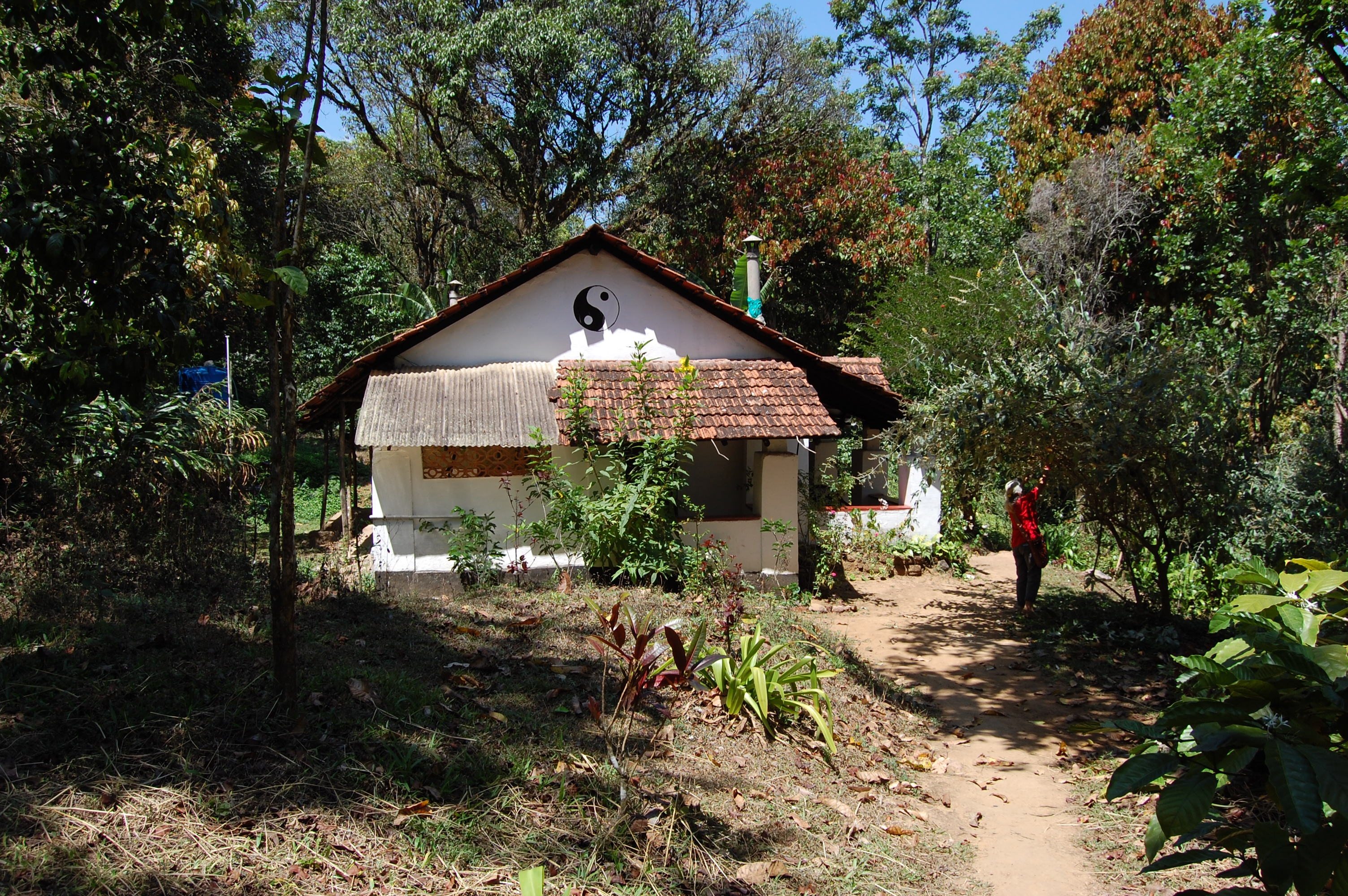 Rainforest Retreat Entire Plantation Cottage