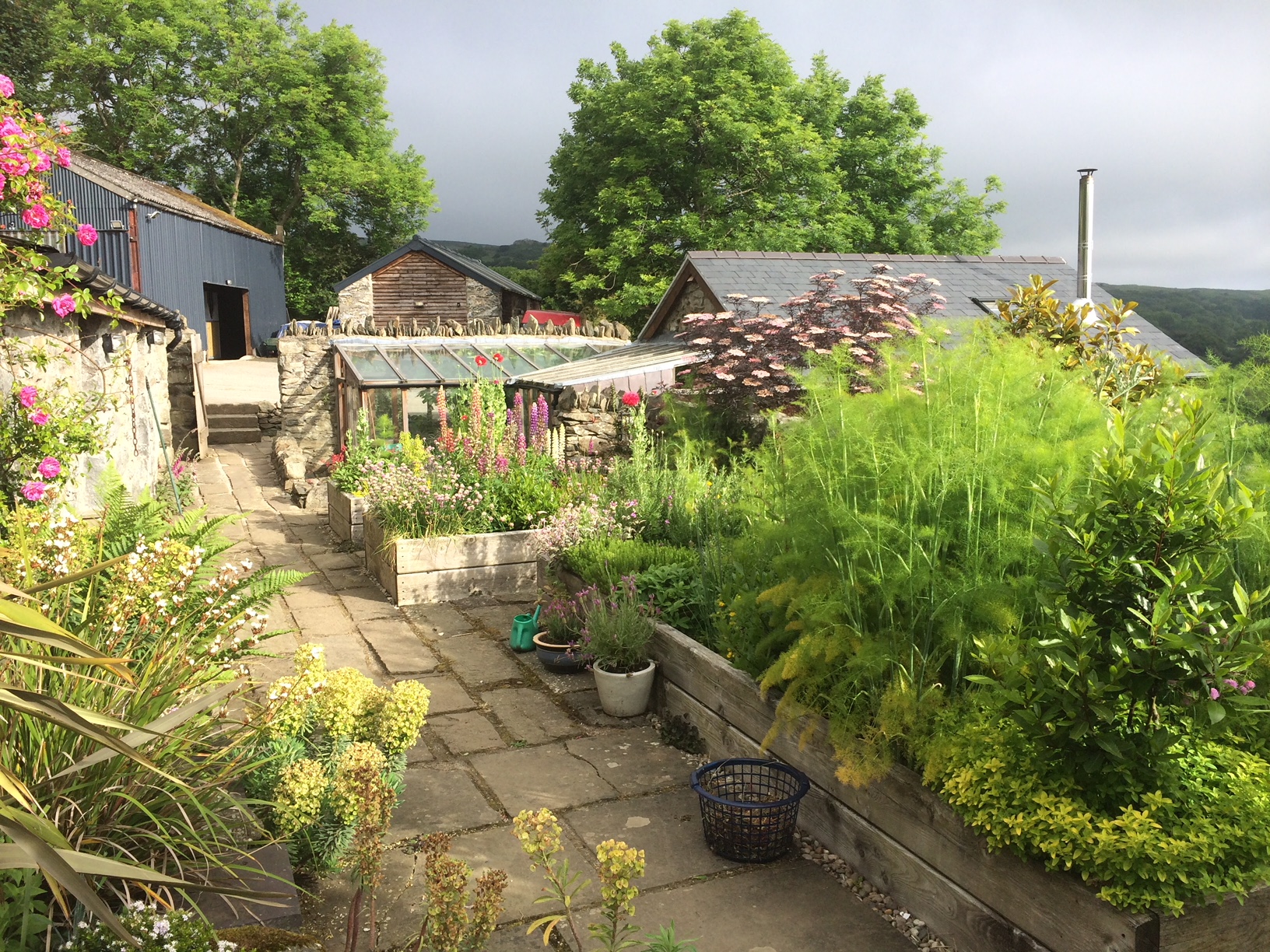 Conwy, Ty Bach, Trecastell Farm