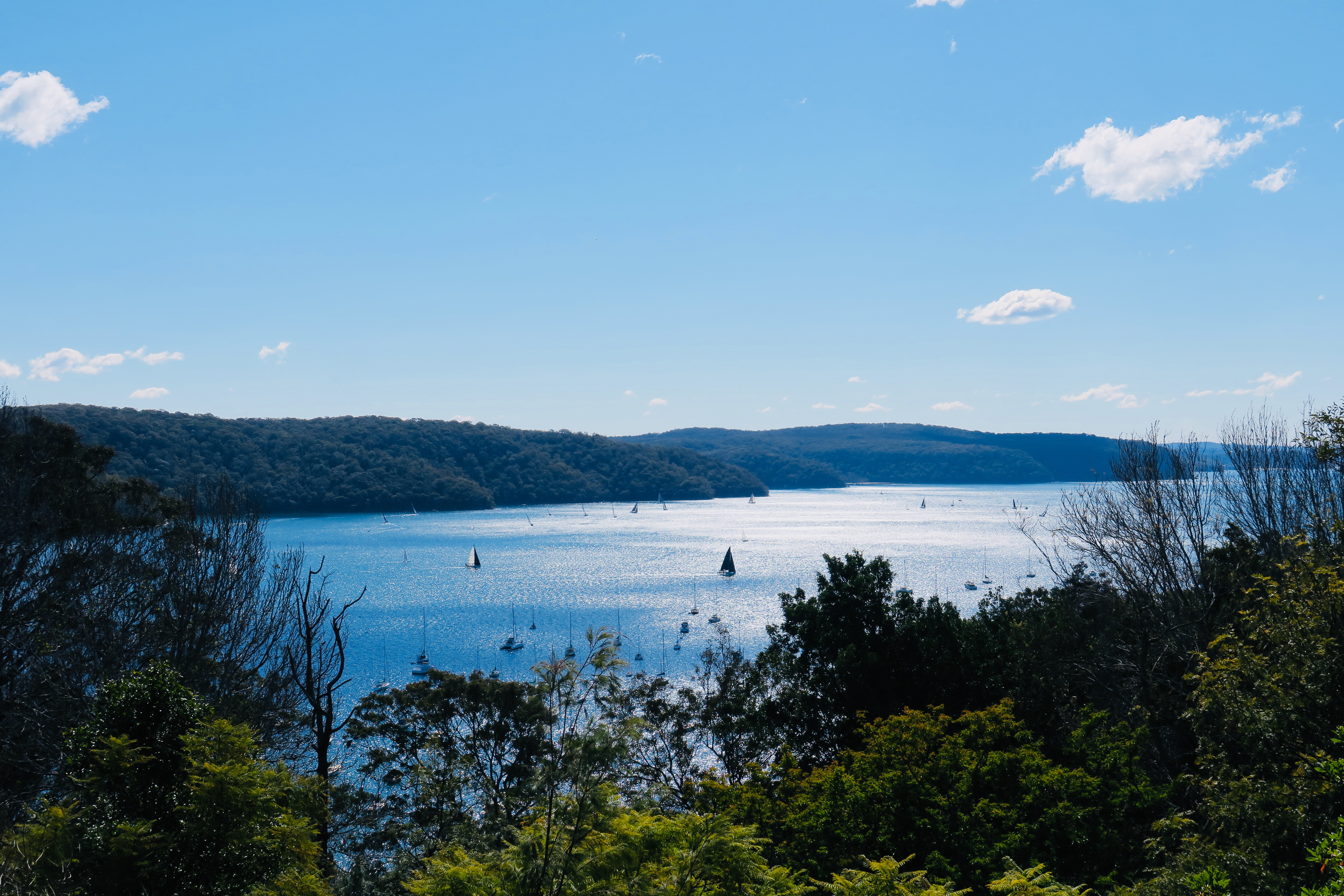 Panoramic Water Views in Treetop Luxury in Pittwater, Sydney