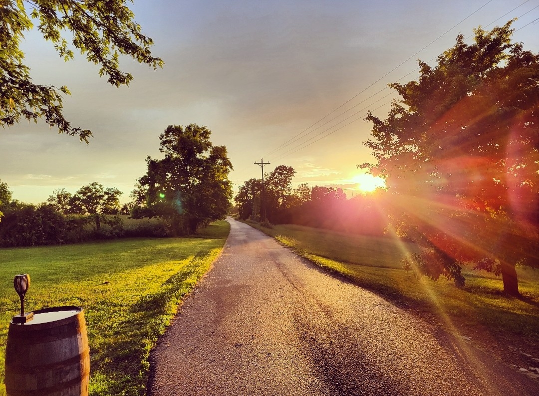 Rustic Container Cabin near Ark & Bourbon Trail Cabins for Rent in