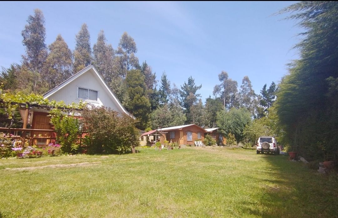 Cabañas los Paltos de Pellines