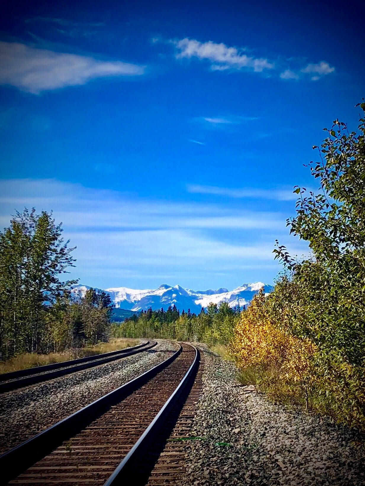 Trailhead Escape Houses for Rent in