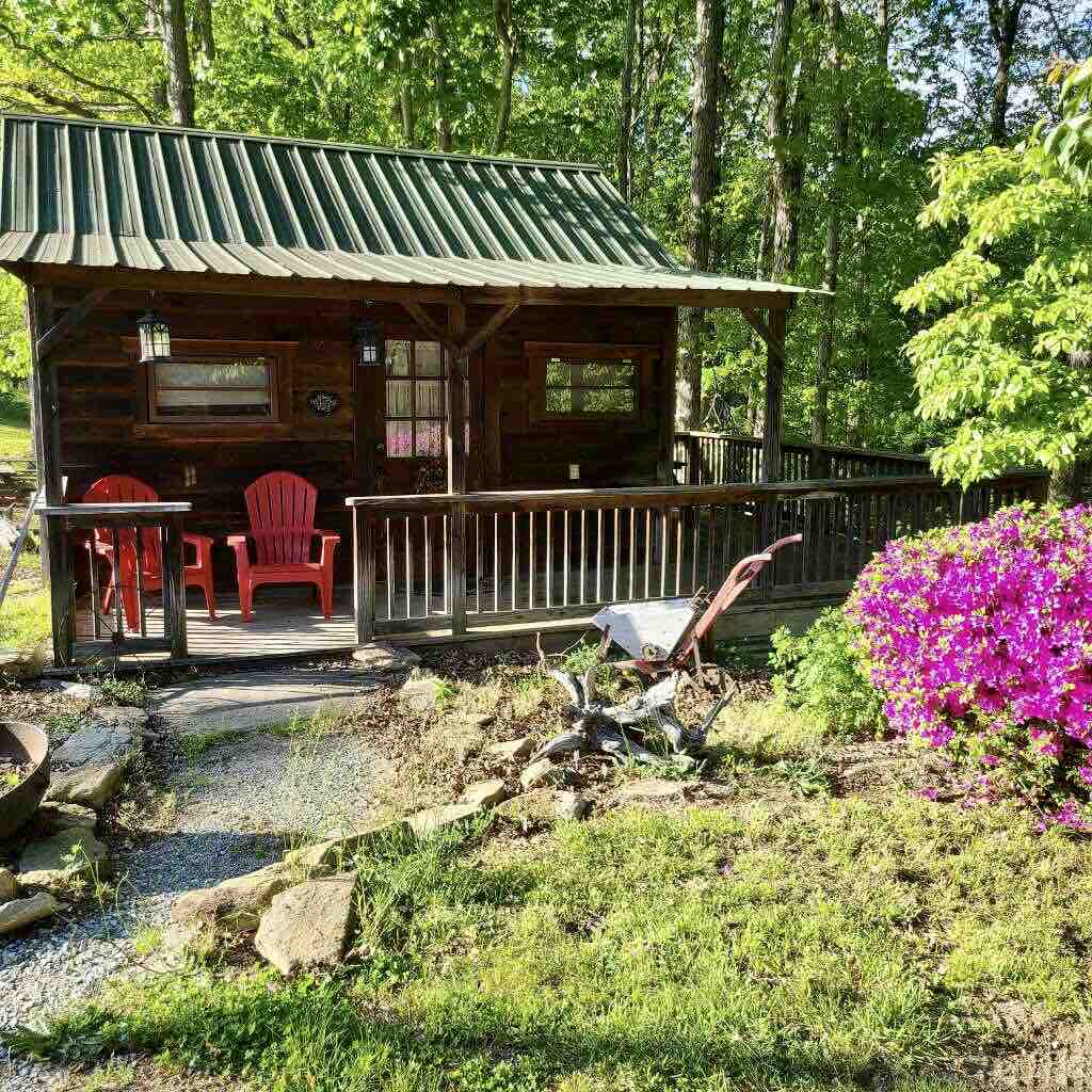 Fred's Bungalow Cabin Cabins for Rent in Flat Rock, North Carolina