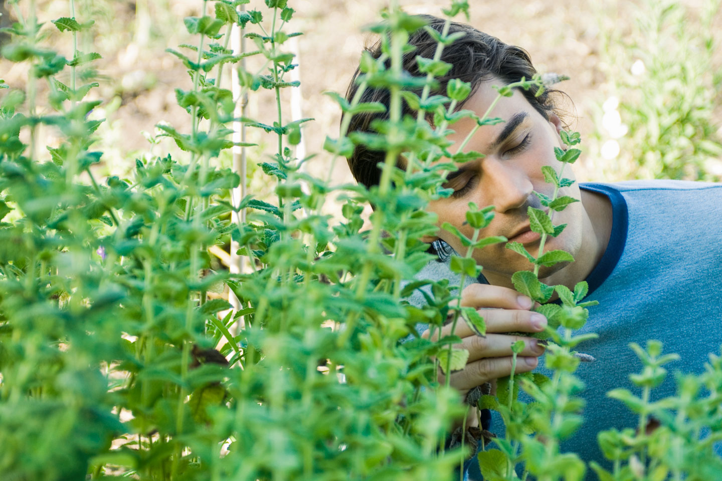Мужик ест траву. Травяной сбор для мужской силы. Человек лежит на траве. Травяной человек. Травы для потенции для мужчин.