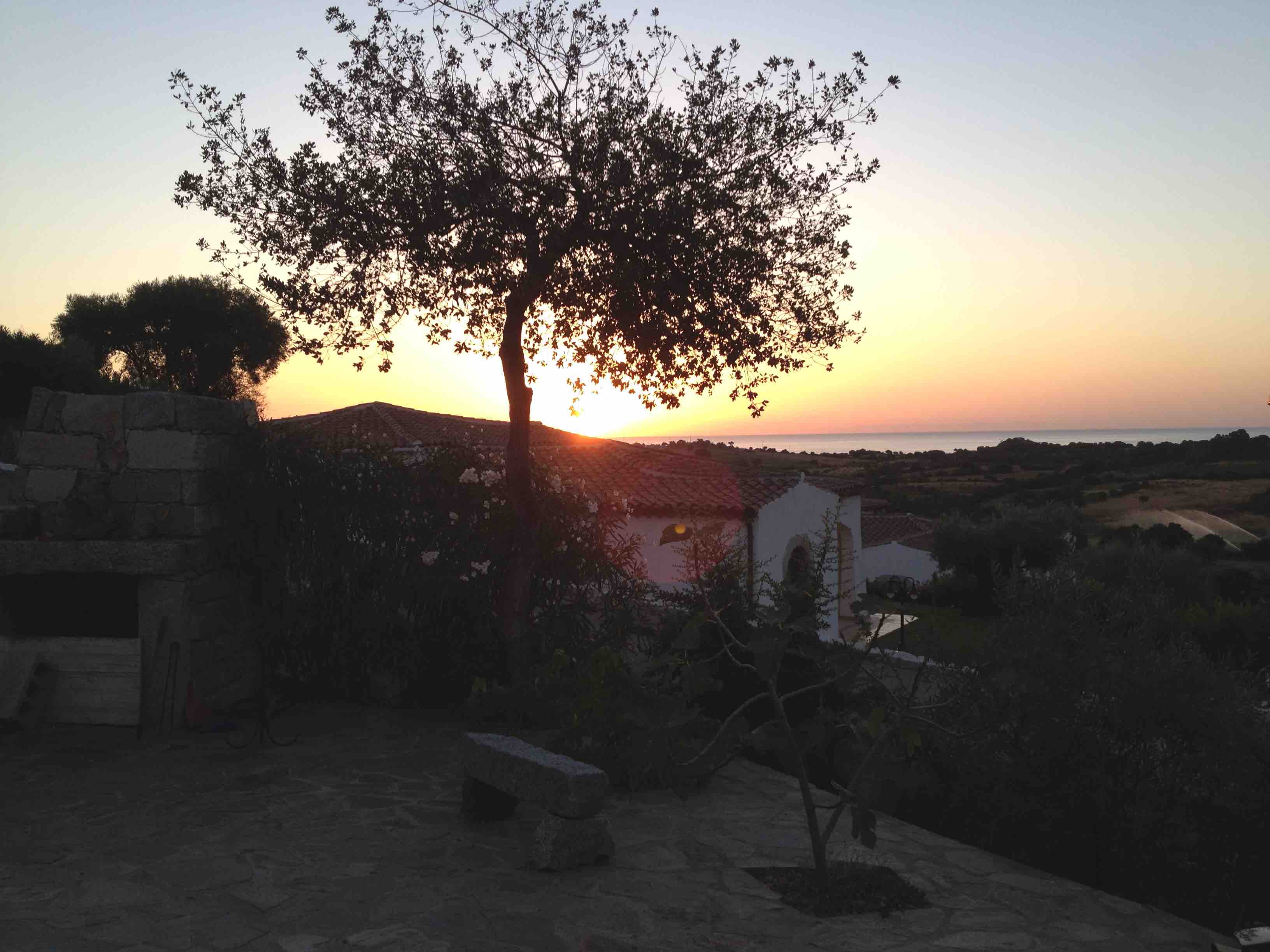 THE SEA WILL GIVE YOU THE GOOD MORNING!