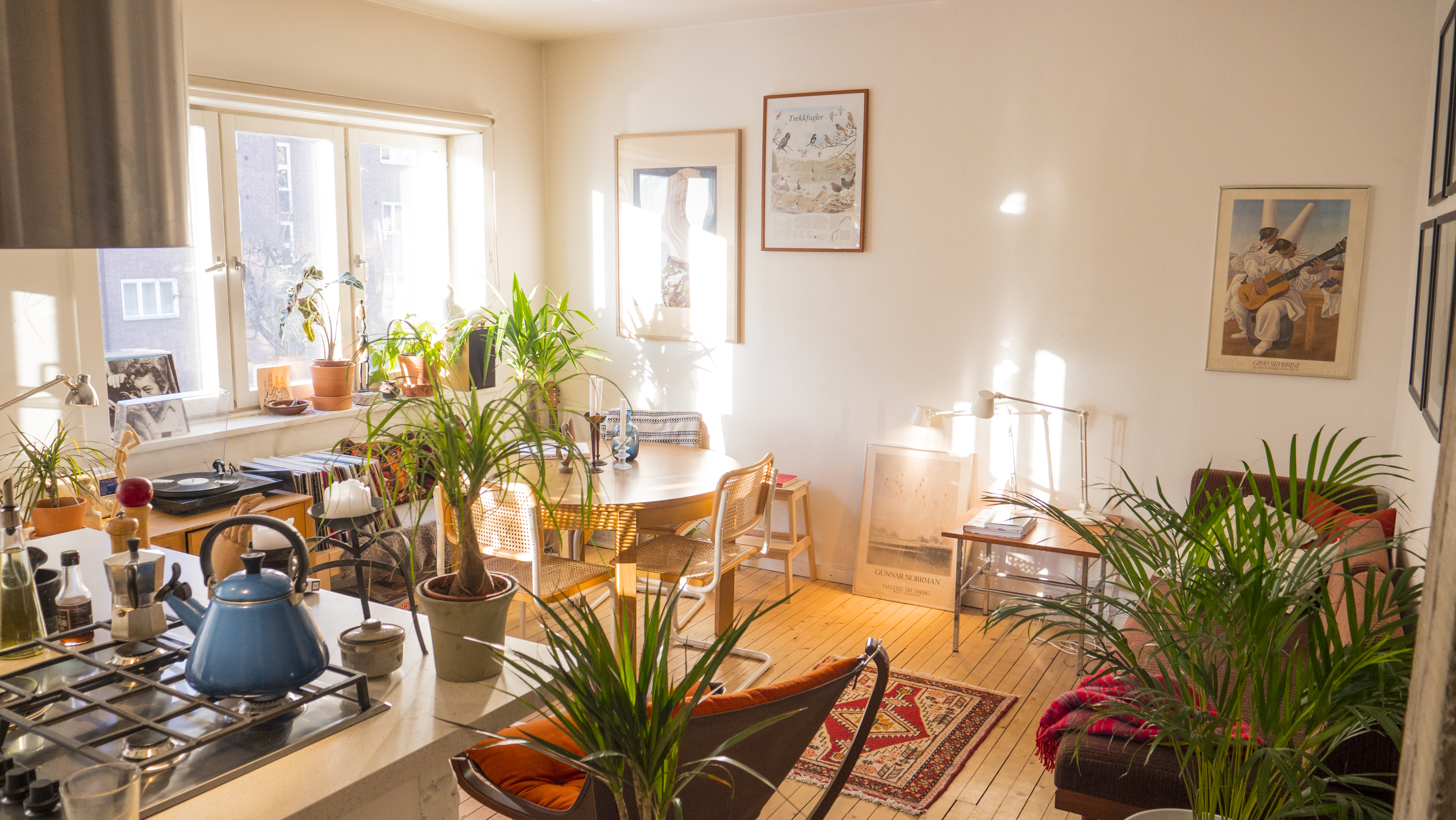 Beautiful home in the heart of Oslo, Grünerløkka. in Grünerløkka, Oslo