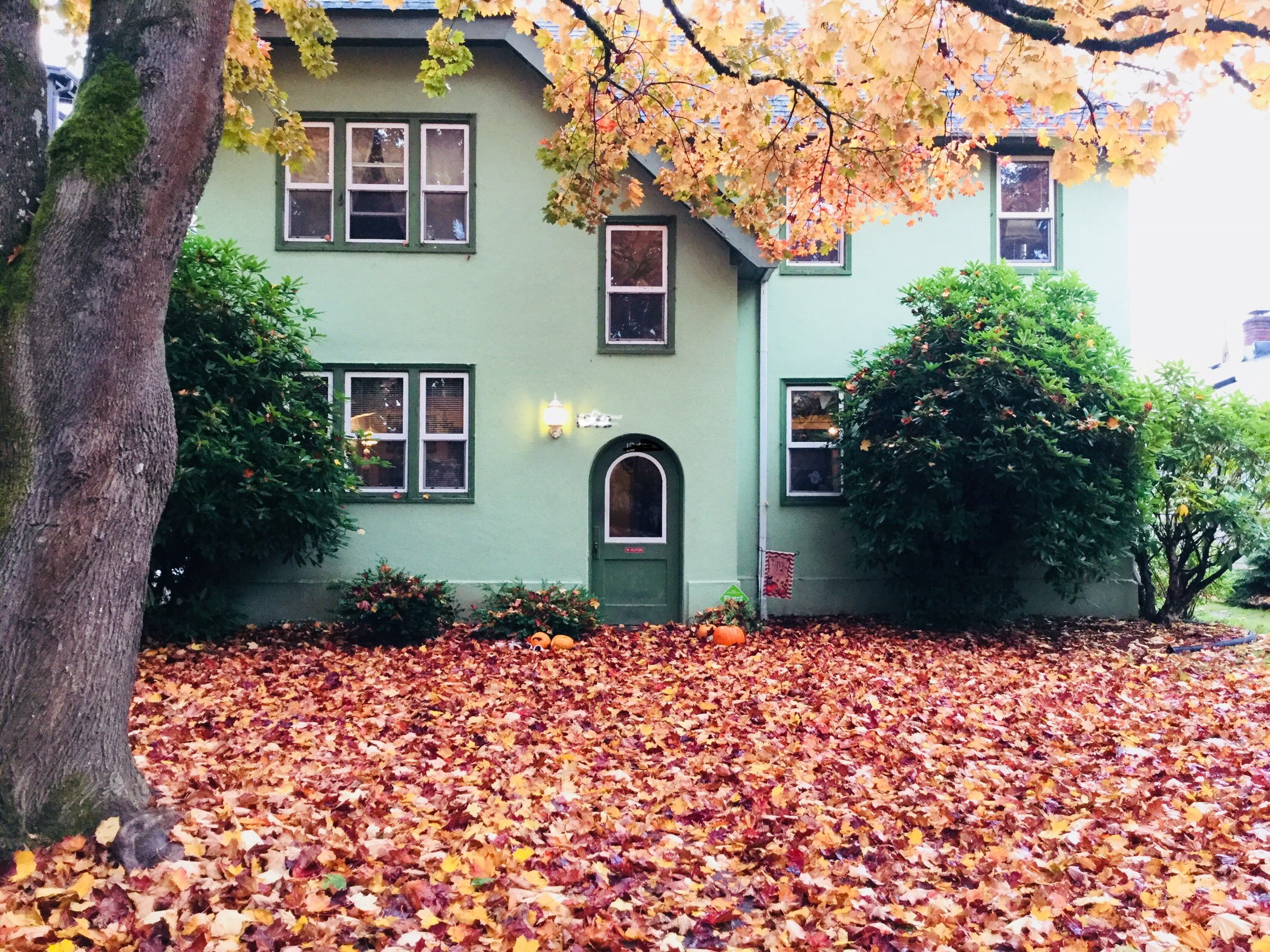 A charming apartment in the heart of Longview!