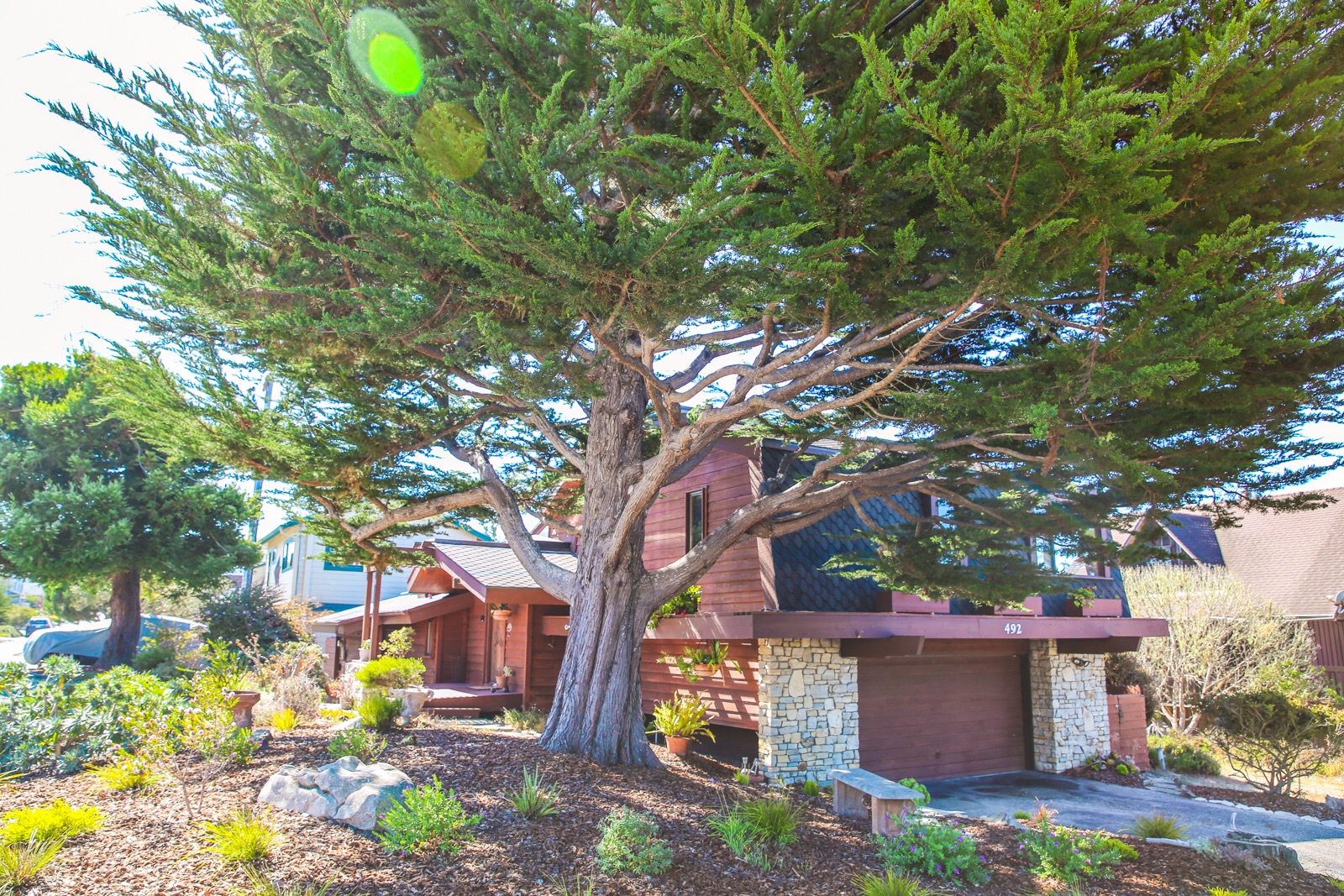 Hummingbird House in Charming Cambria Houses for Rent in Cambria, California, United States