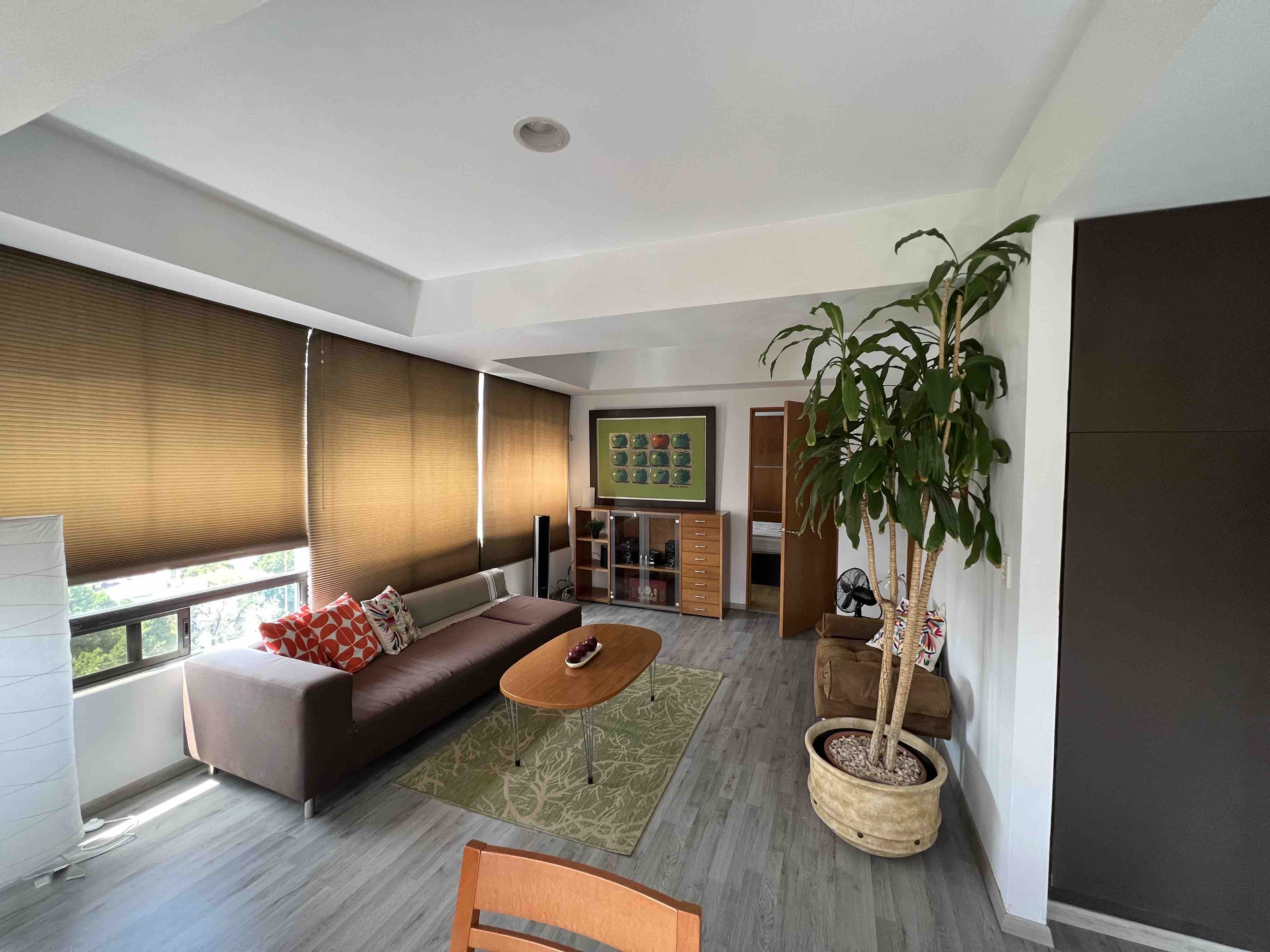 Nice furnished apartmt in Mex City- Roma Norte in Cuauhtémoc, Mexico City