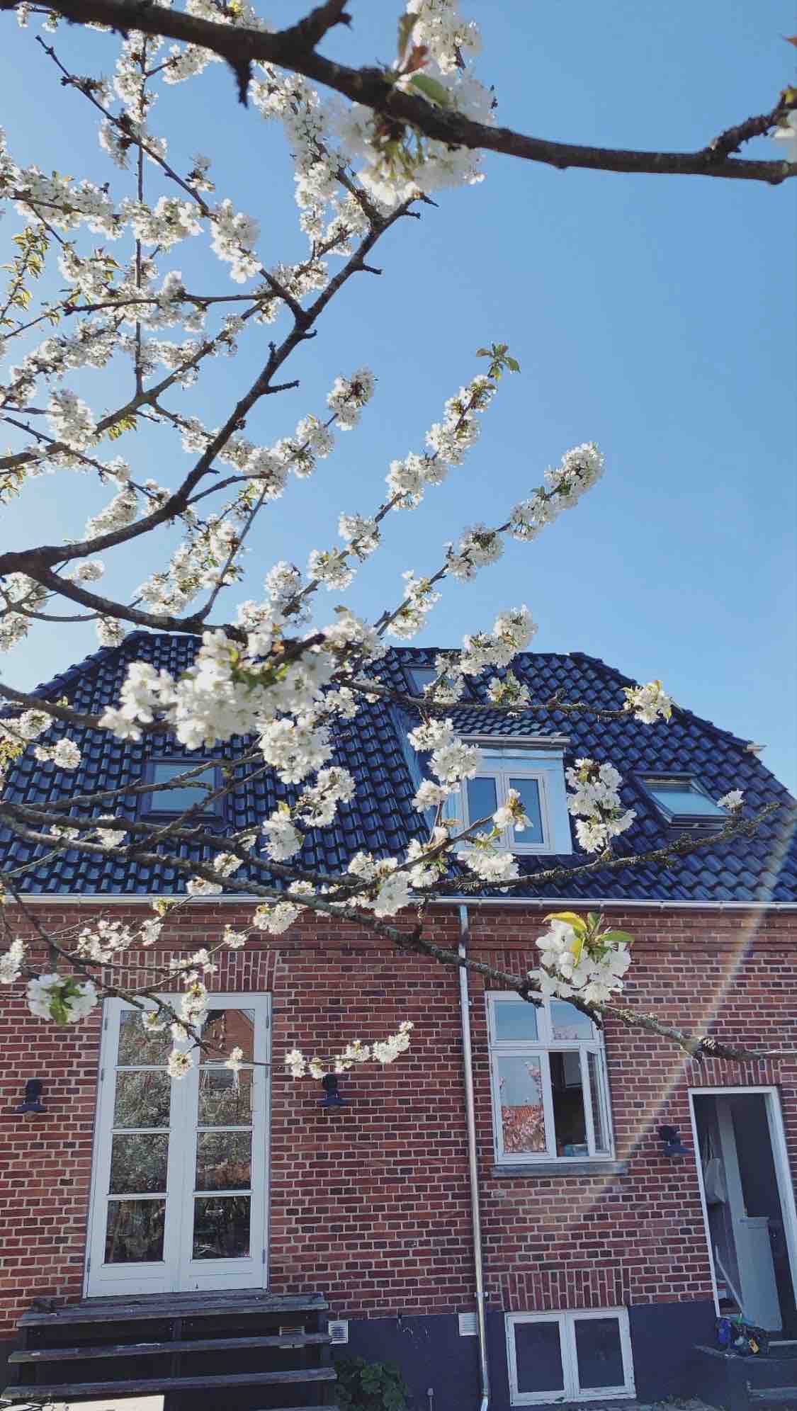 Muralist villa near swimming lake and forest - Airbnb