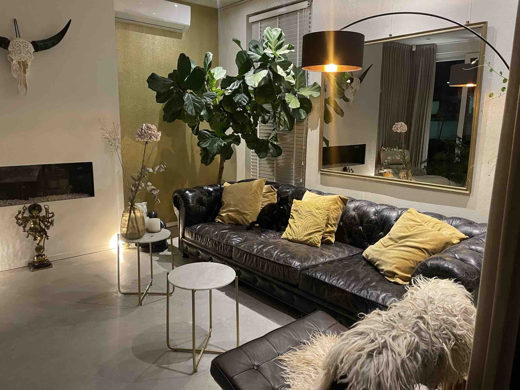 Room, brandnew luxurious houseboat — Amsterdam stay