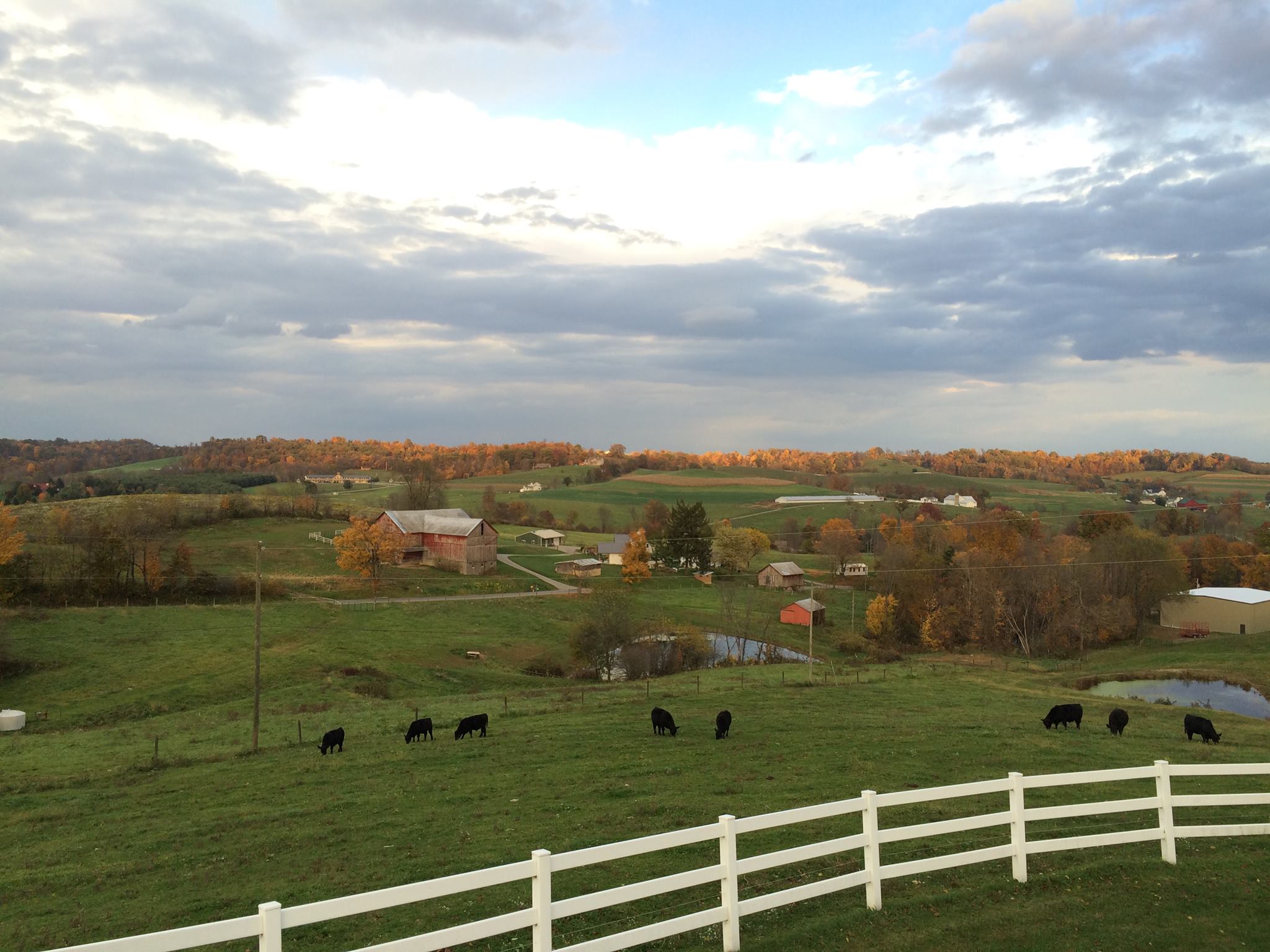Great for Families, Awesome View, Amish Country Houses for Rent in