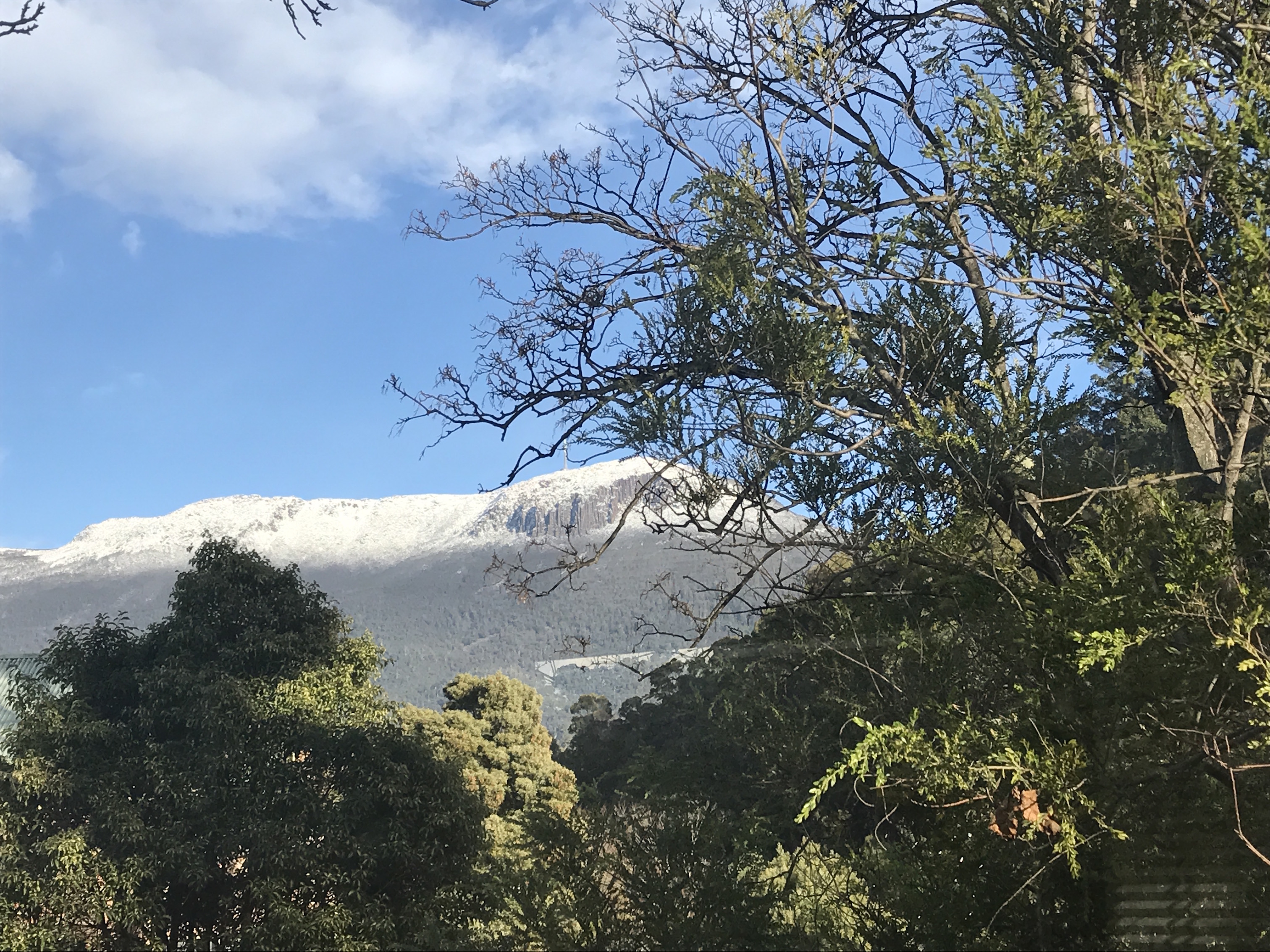 Rosewood Studio - a hidden gem in South Hobart