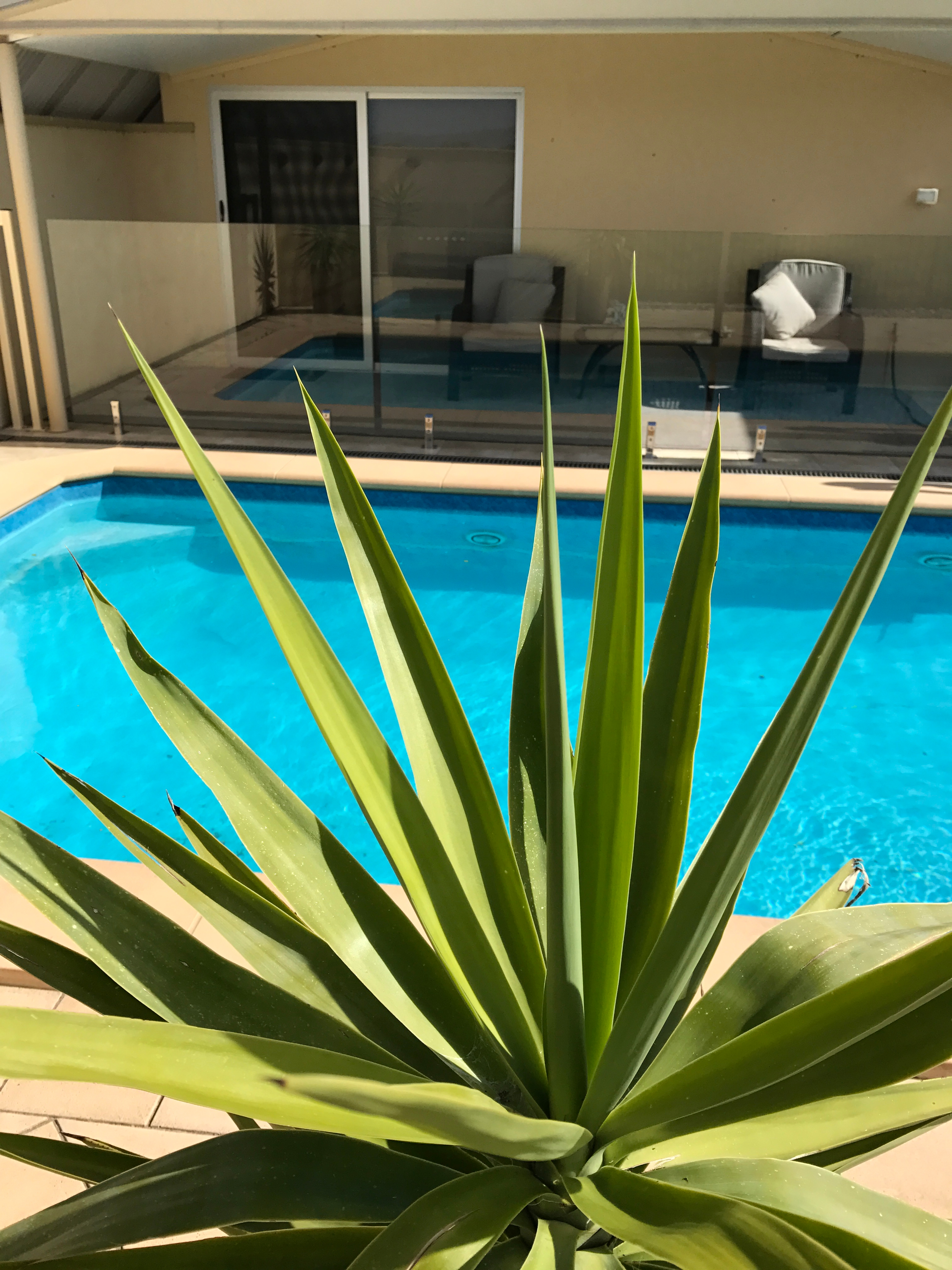 Harvest Retreat Luxe Accommodation With Views Bed And