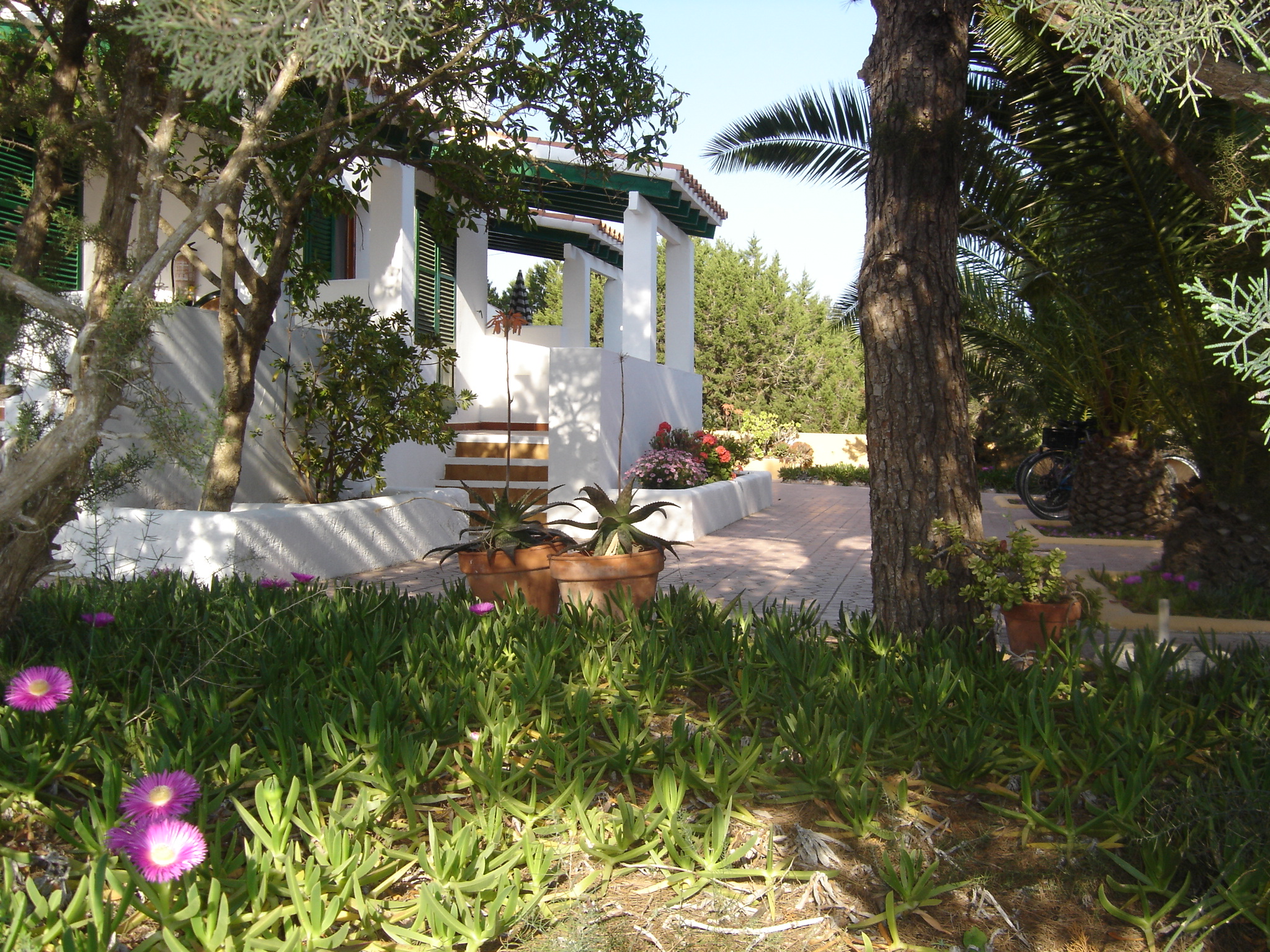 La Palmera-4pax-Apartments