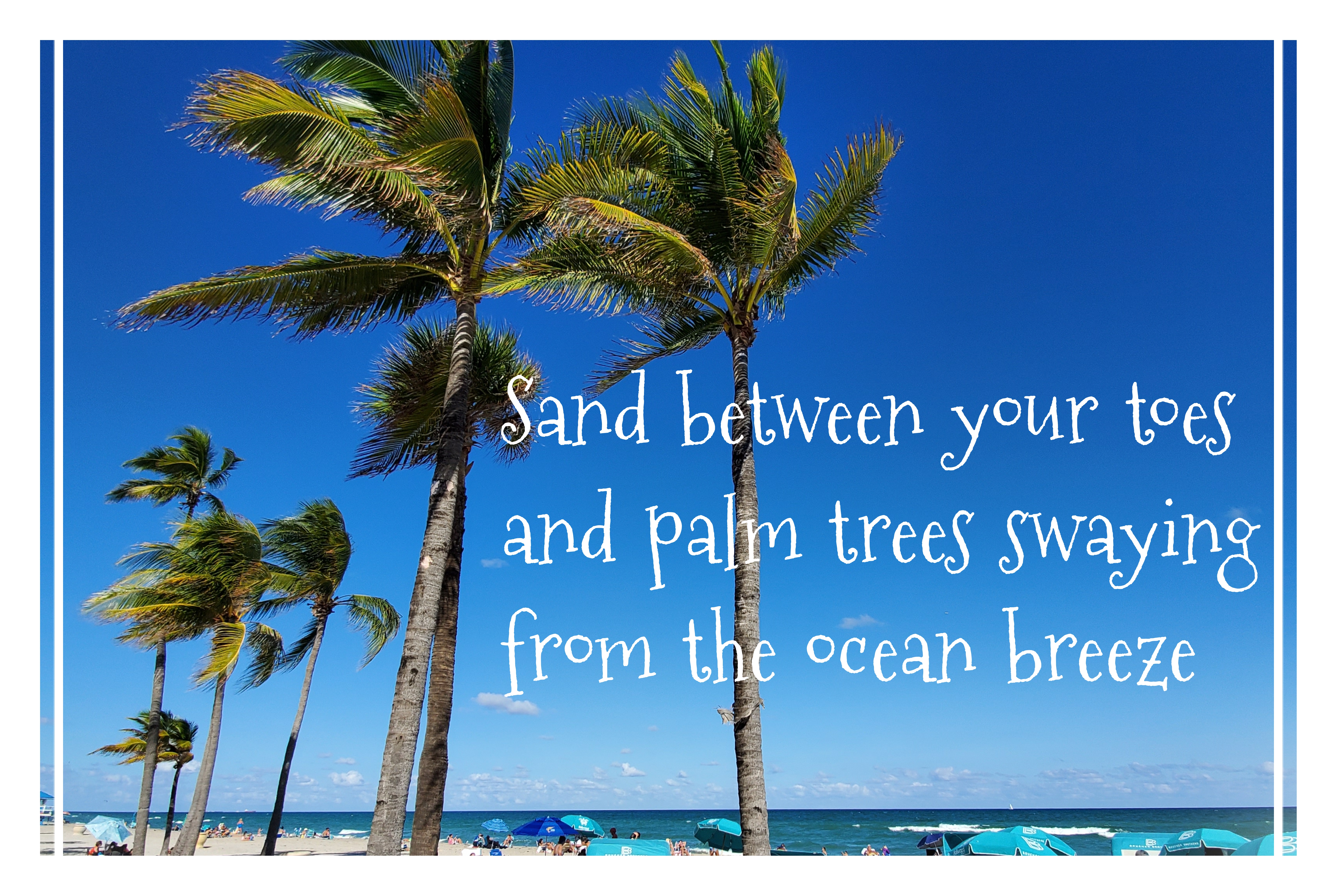 Graceland Beach House Steps To Hollywood Beach Condominiums For Rent In Hollywood