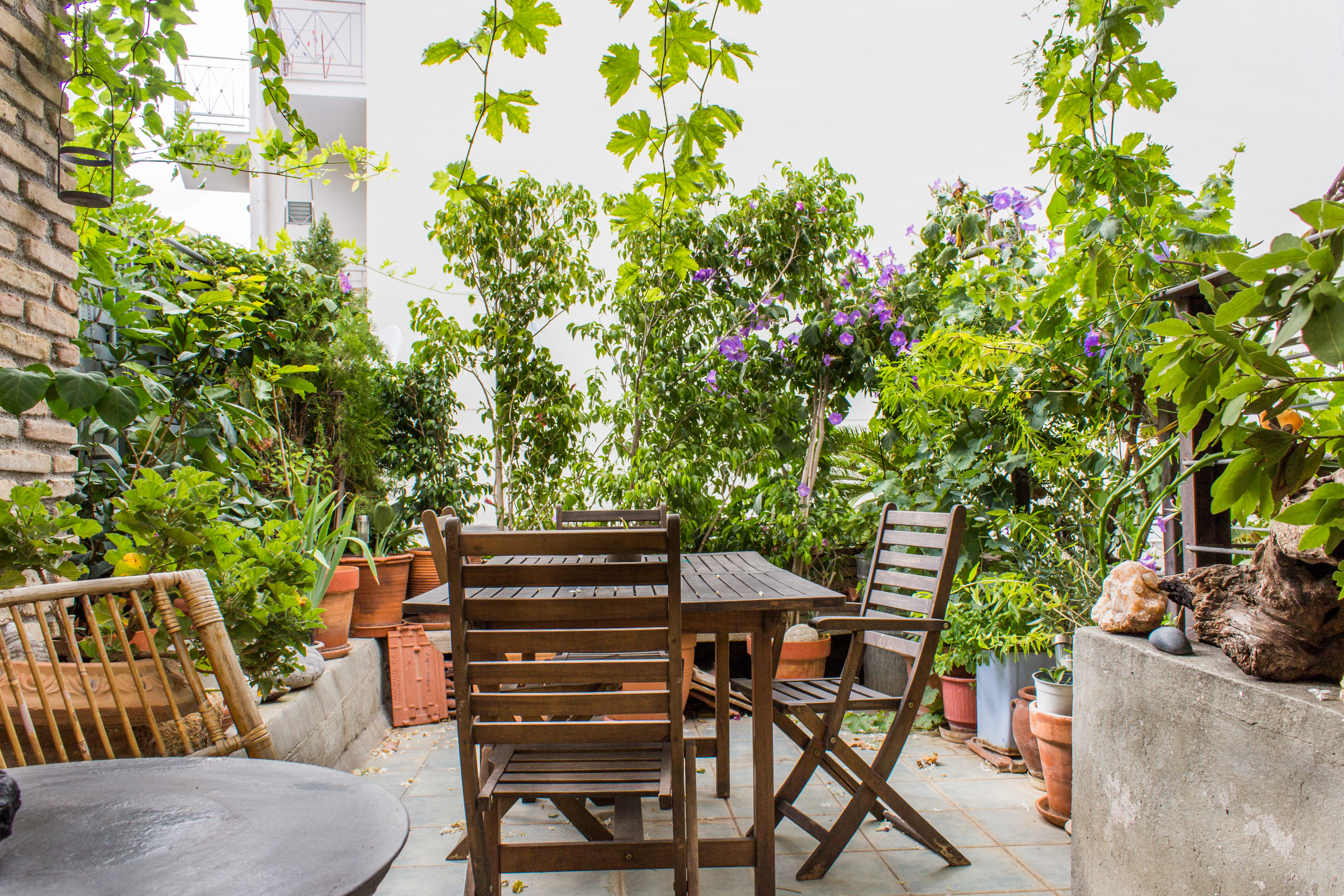 Small hostel with garden in Mets in 1Ο ΝΕΚΡΟΤΑΦΕΙΟ, Athens