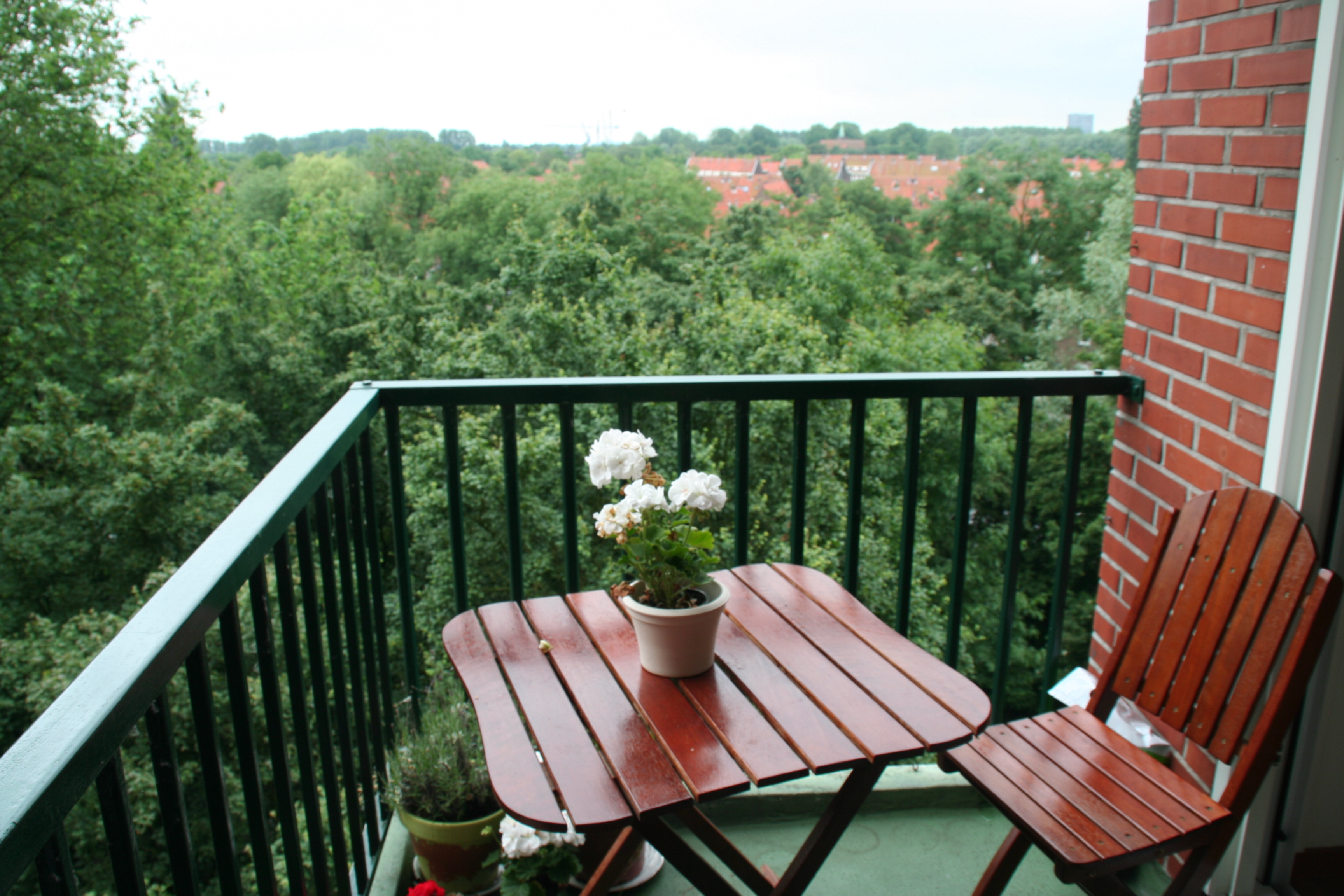 Green Space and Calm for women travelling alone — Amsterdam stay