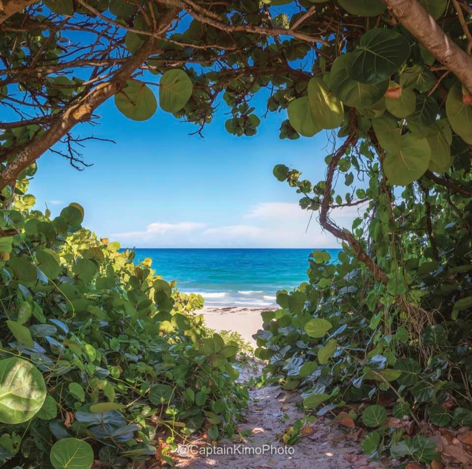 Jupiter Kozy Kottage- Oct just open! 2.7m to beach