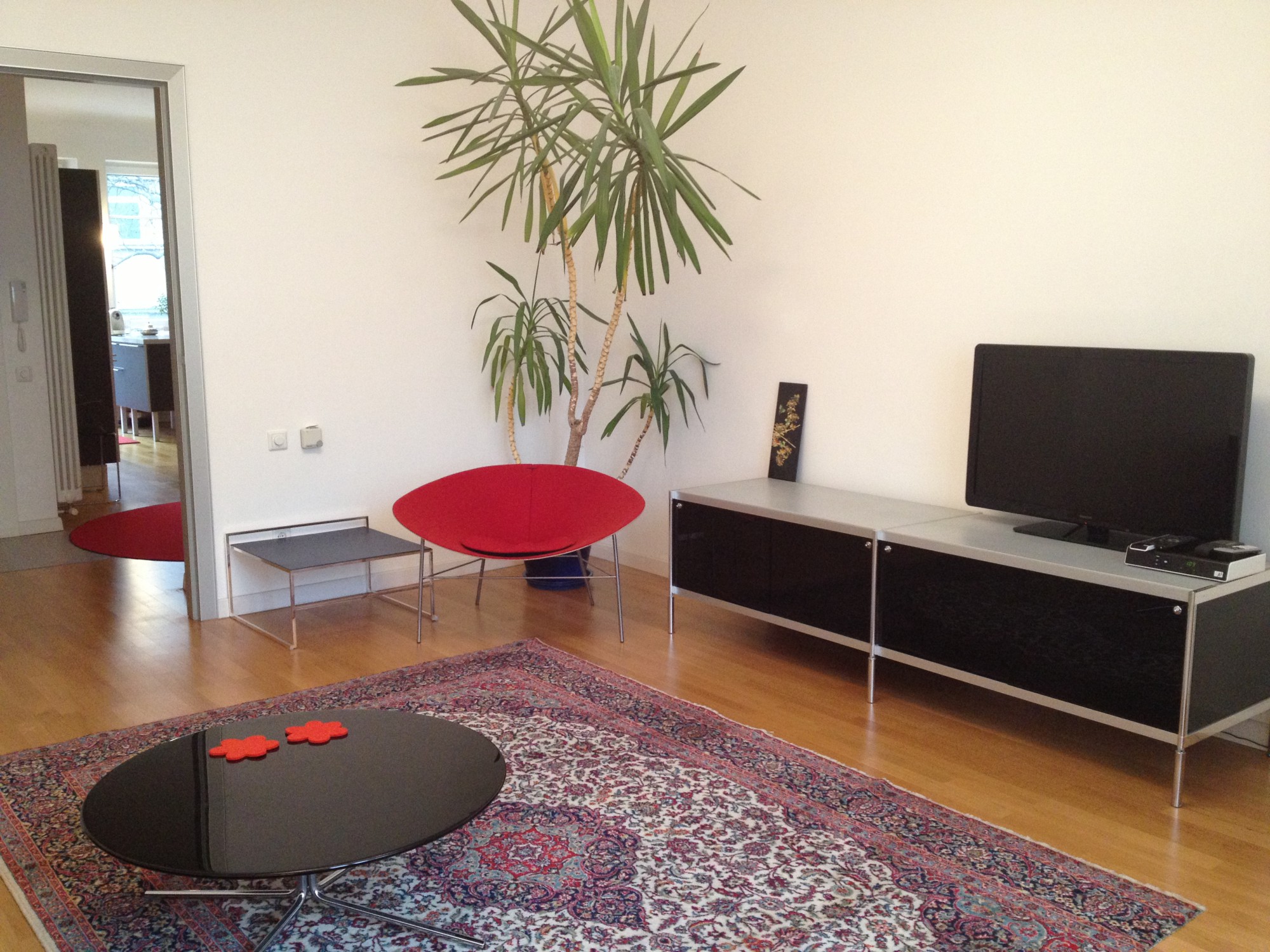 City center, fully furnished Flat