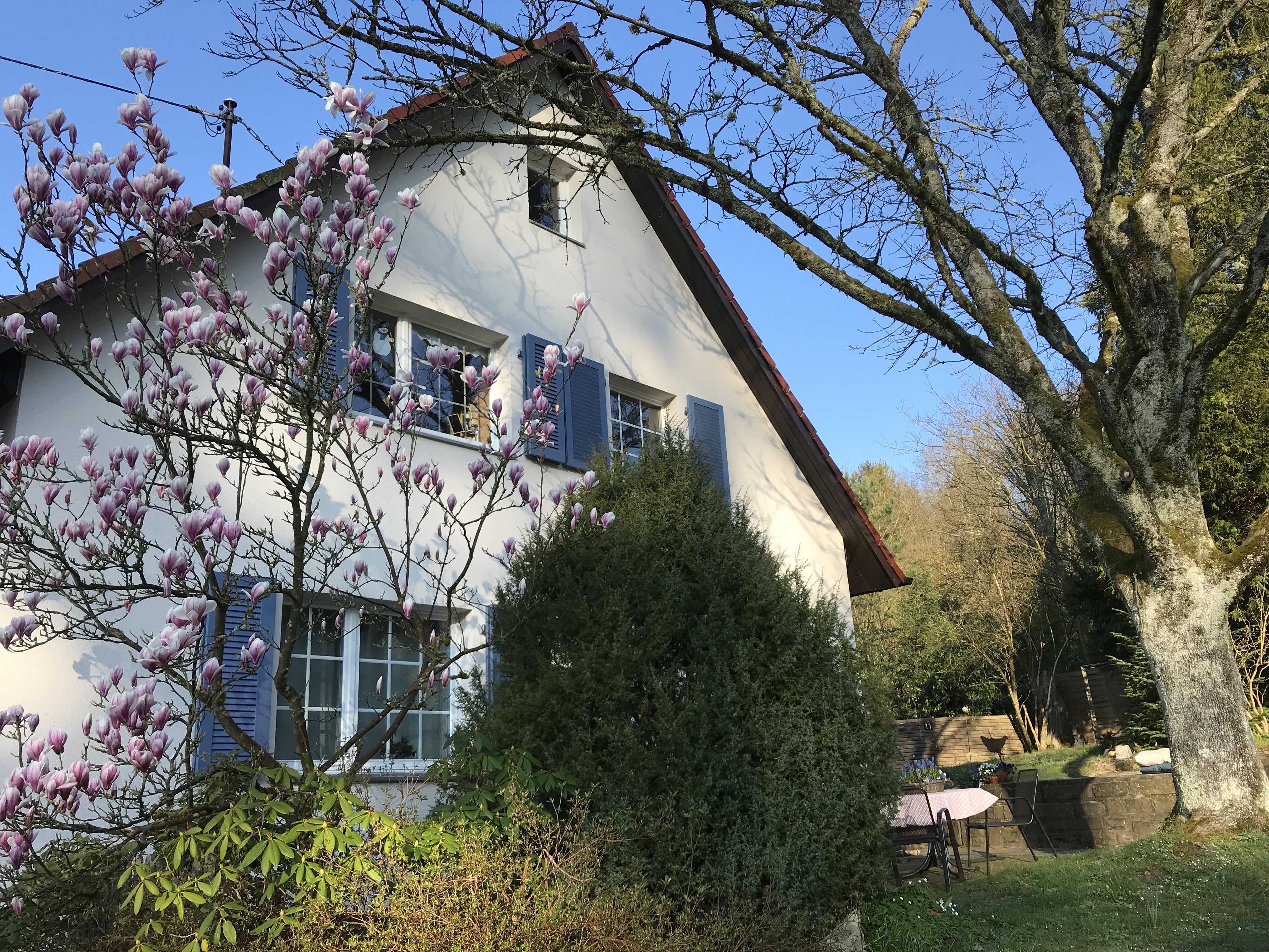 Vacation home - Baden-Baden - close to nature - close to the city