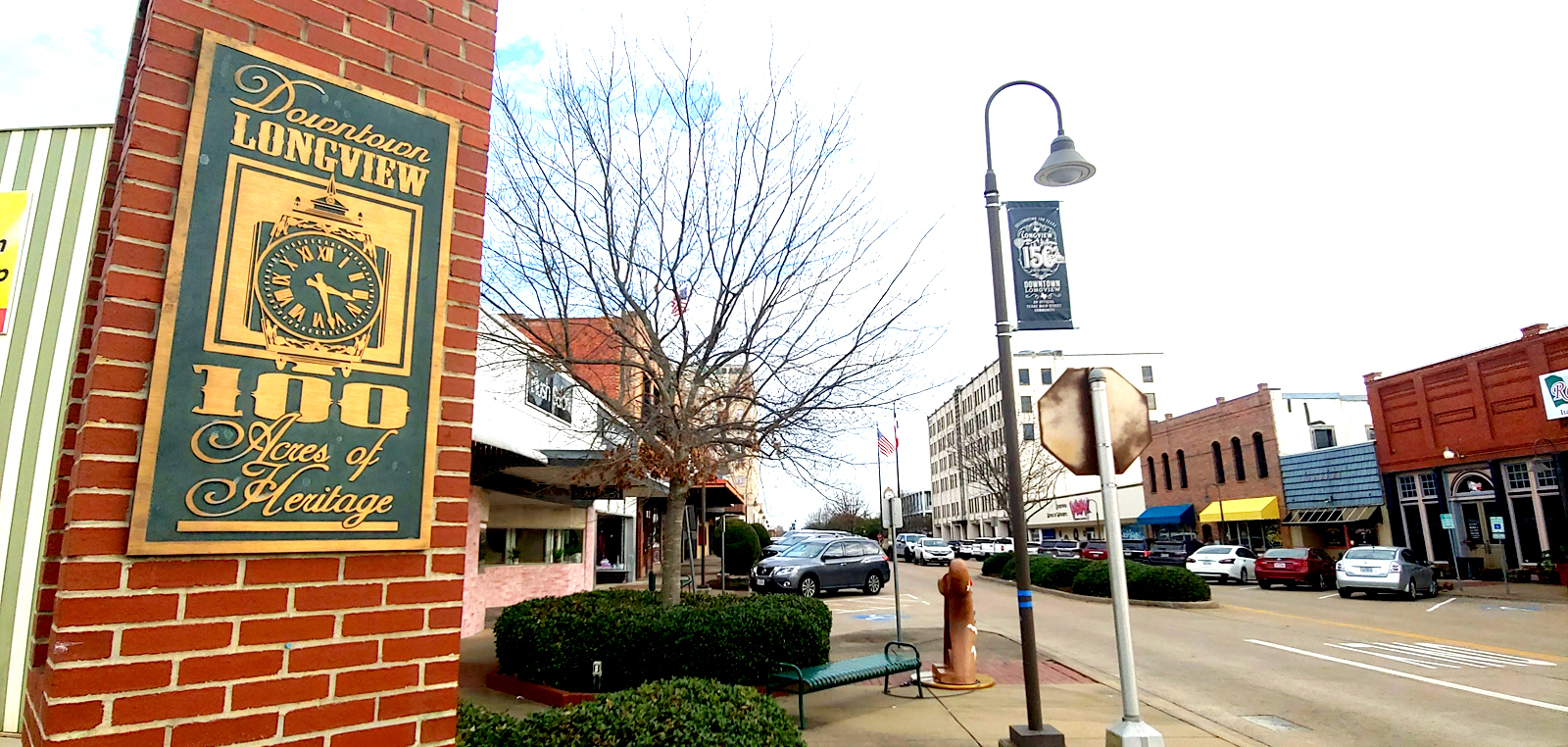 Downtown Longview Cozy Home w/Fireplace + Grill