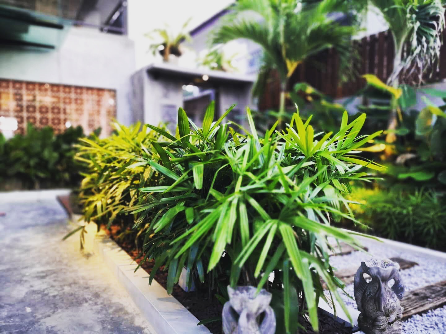 Samaya Villa Balinese 4bedrooms With Private Pool Villas For Rent In Malacca Malacca Malaysia