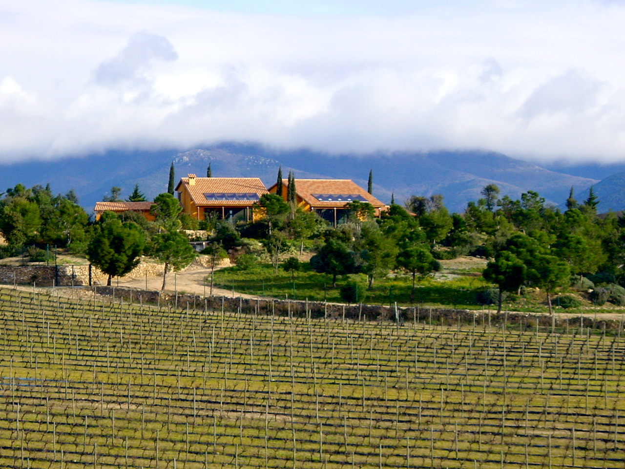 Alt Emporda- Tourism in a vineyard property in Capmany, Girona