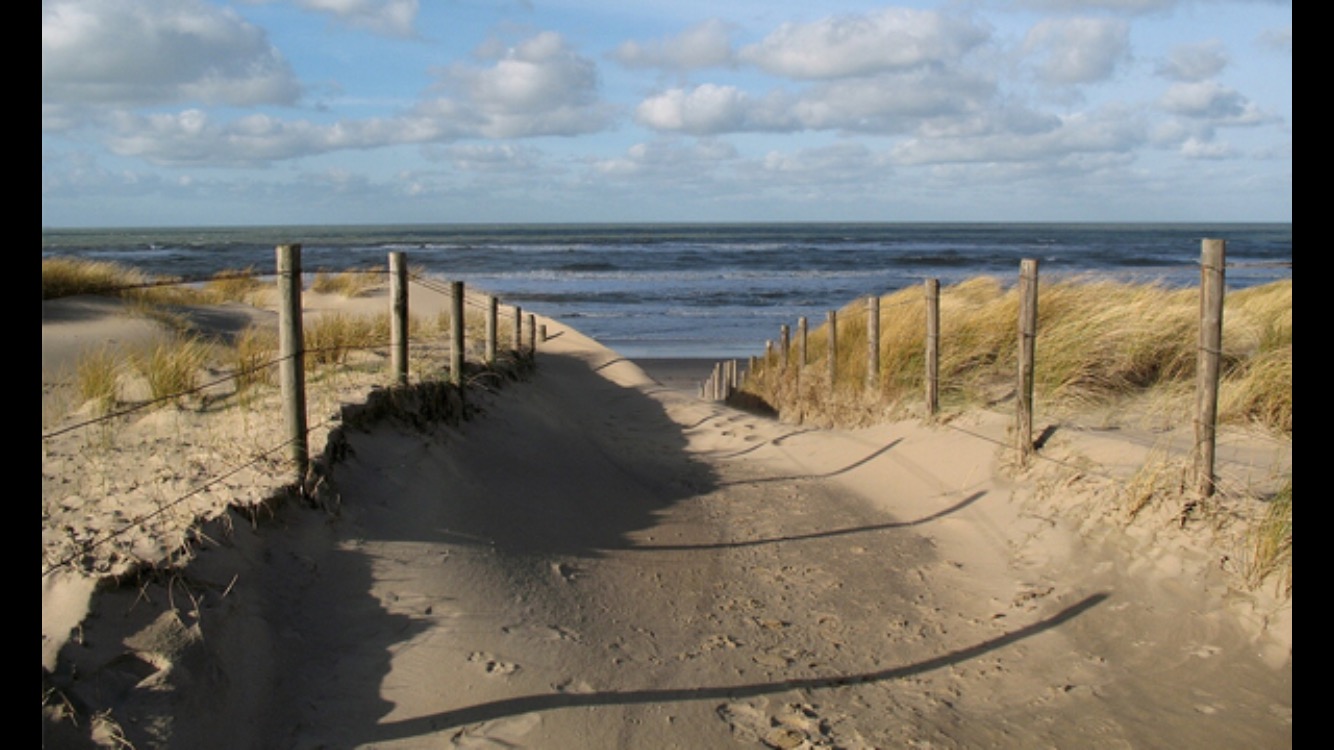 BIG and NICE 7pers GREAT location! — The Hague stay