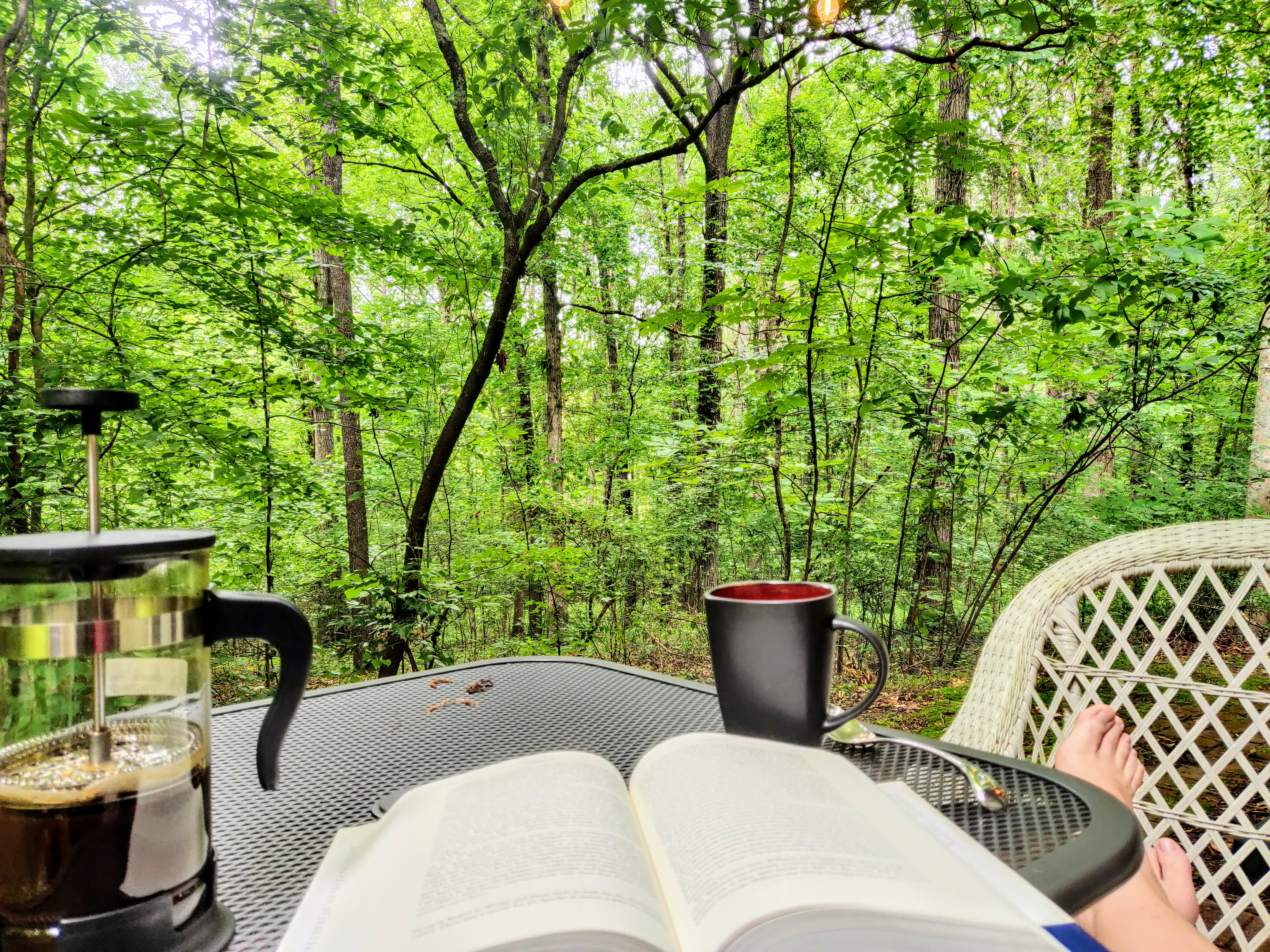 Cozy Milton Mini-Studio with private, wooded patio