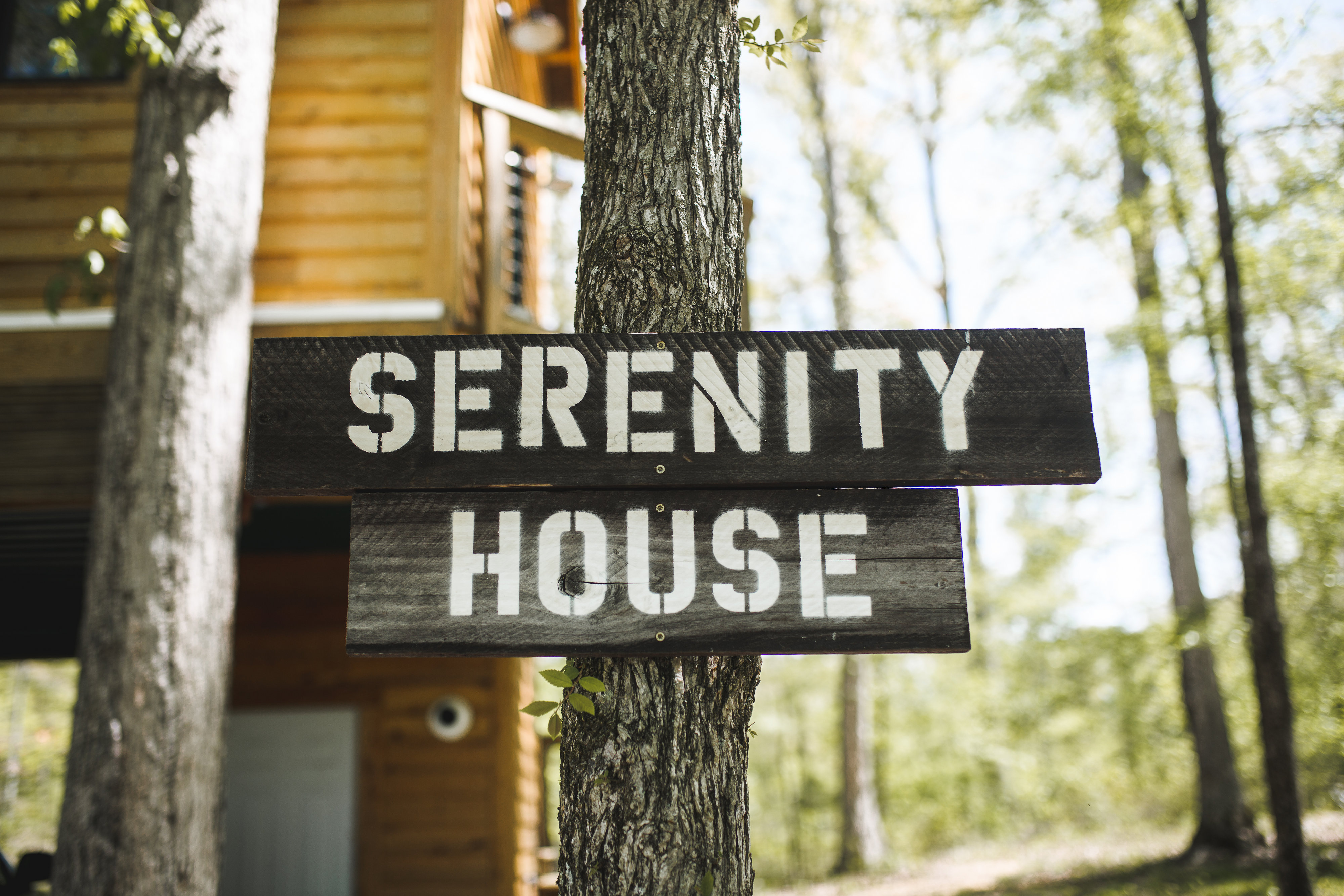 Serenity House a treehouse Treehouses for Rent in McEwen, Tennessee
