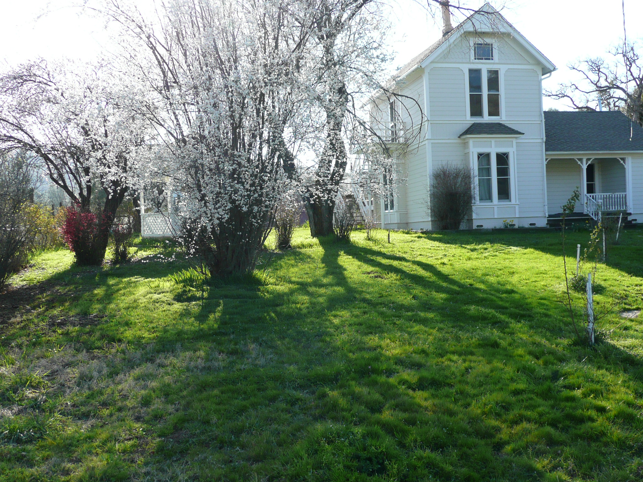 Mariposa Farmhouse (downstairs)