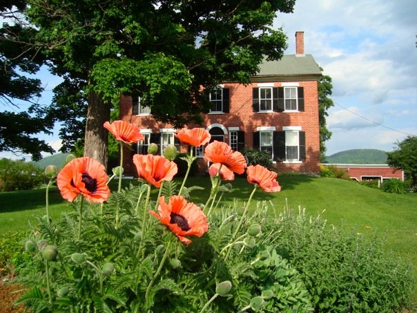 Charming Clarendon Farmhouse