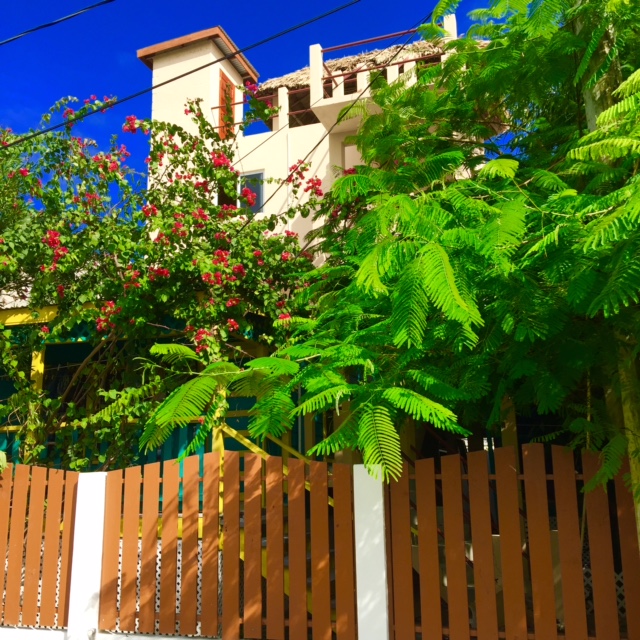 Yocamatsu Caribbean B&B in Belize Islands, Belize