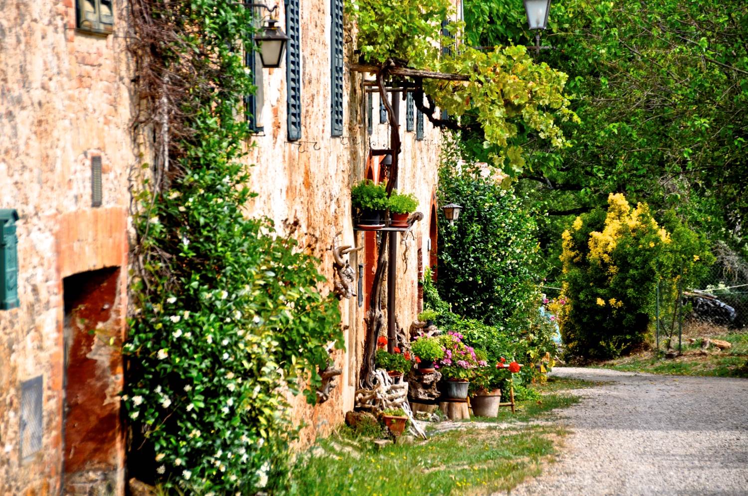 Under the Tuscan Sun