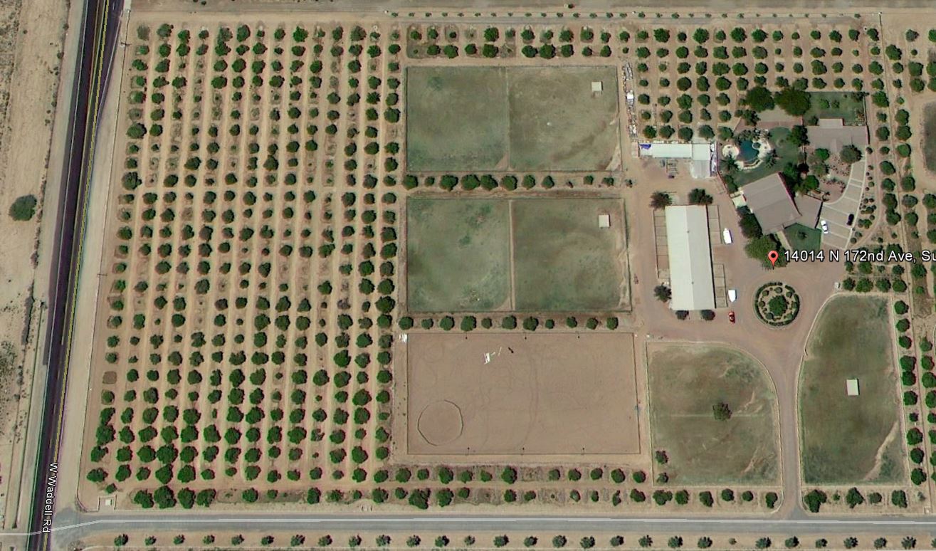 Unique Luxury Guest House on Citrus/horse Ranch Guesthouses for Rent