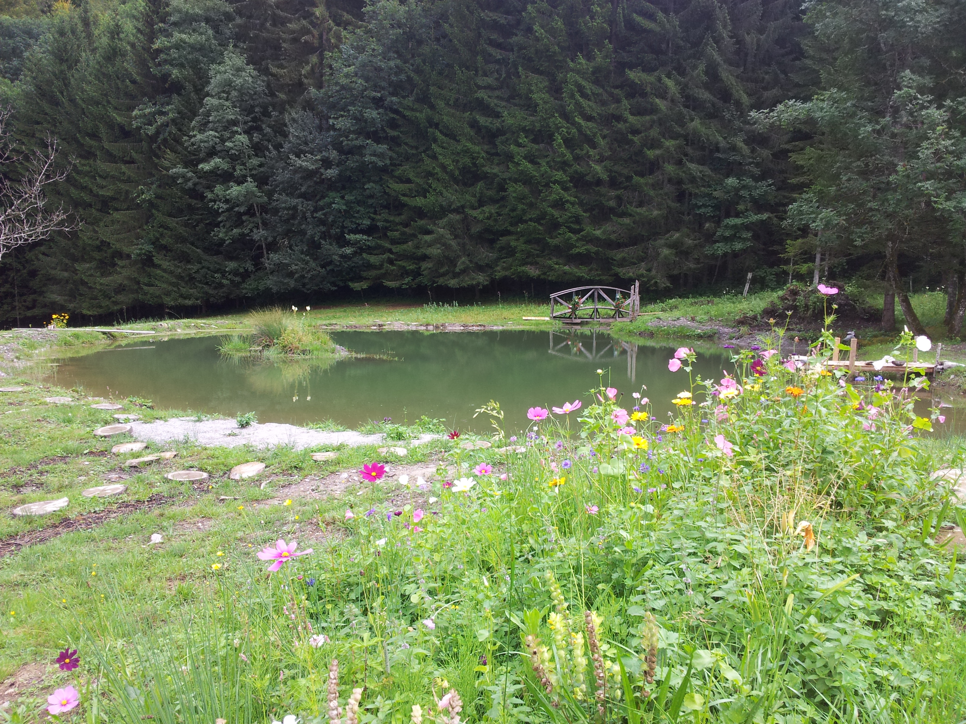 Chambre D Hote Dans Un Chalet D Alpage Chalets For Rent In Thyez Rhone Alpes France
